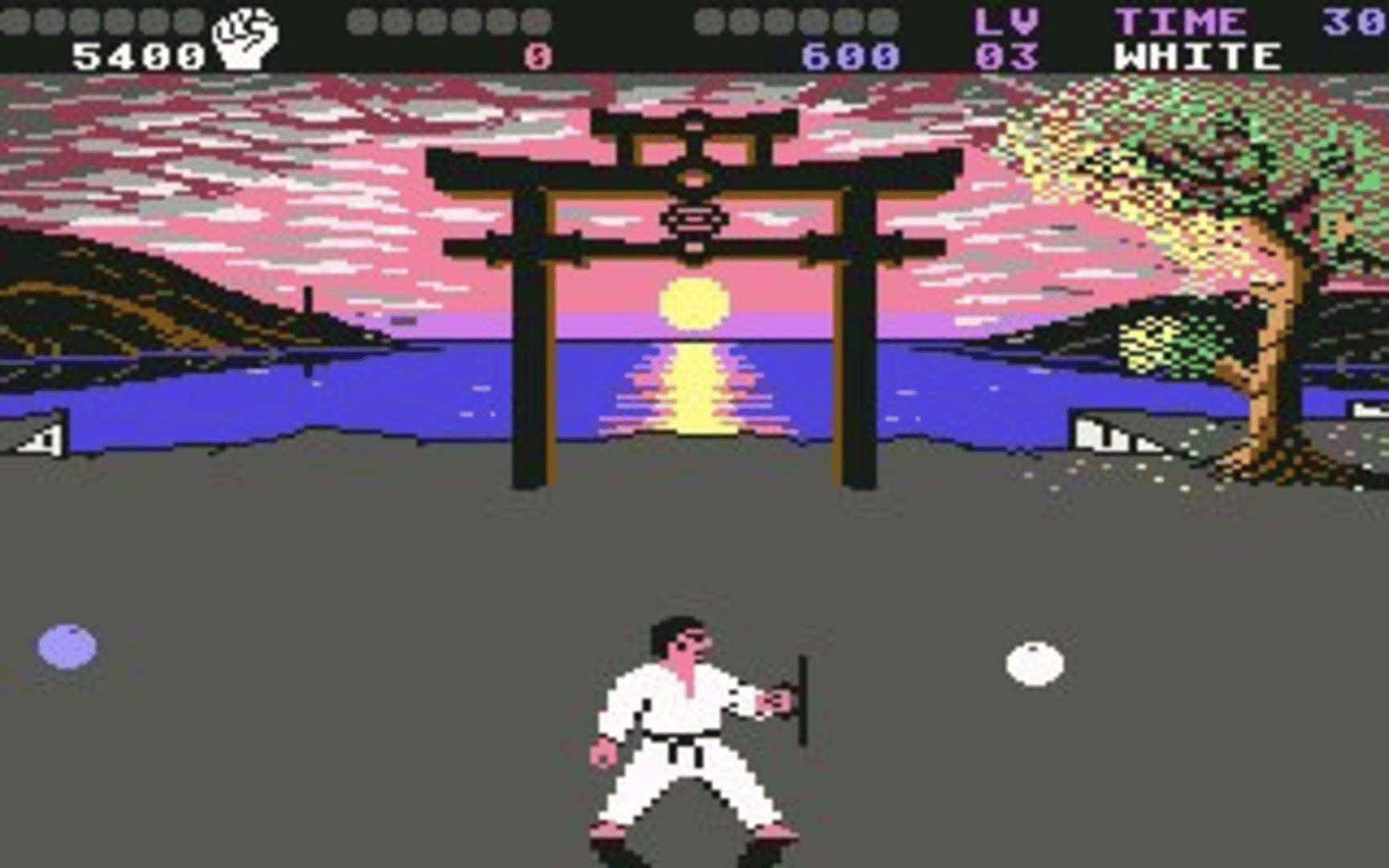 International Karate + screenshot