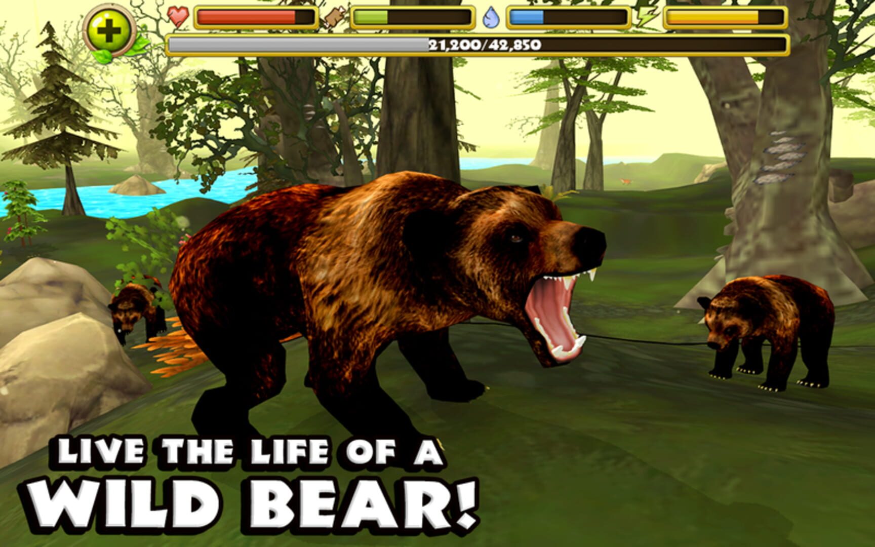 Wildlife Simulator: Bear - Screenshot