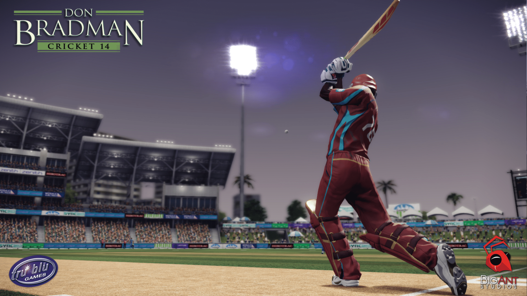 Don Bradman Cricket 14 screenshot