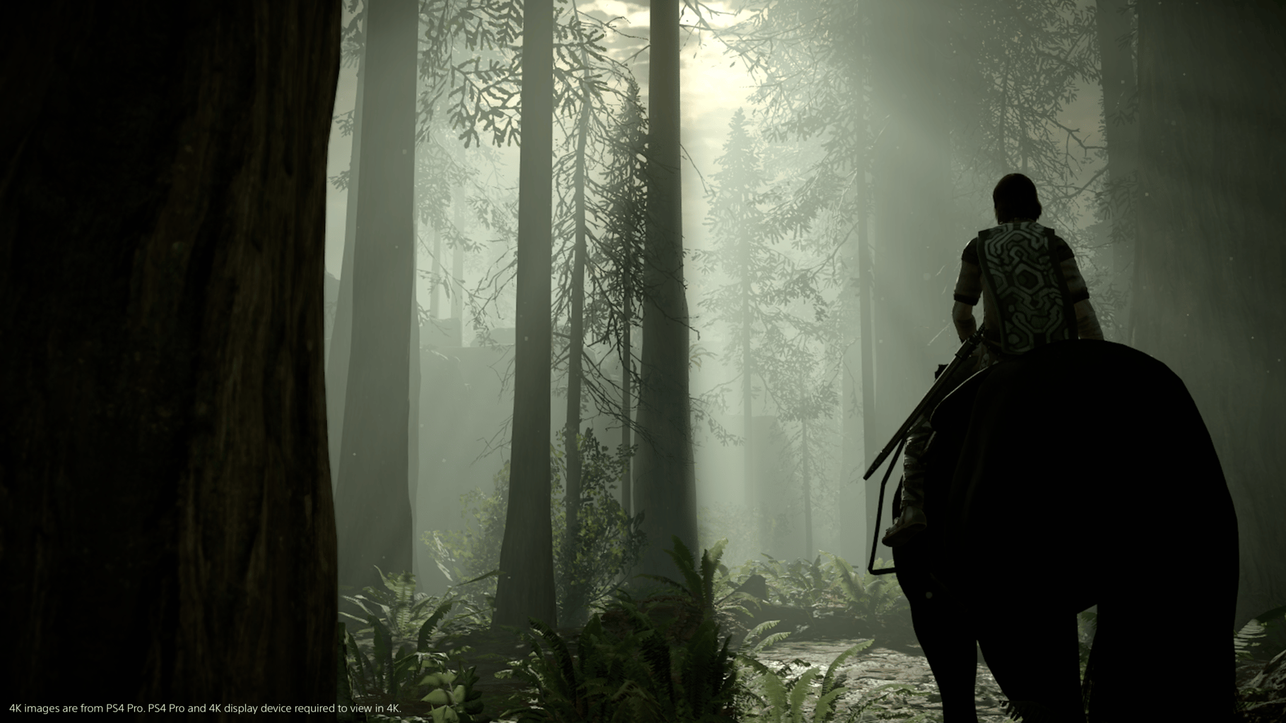 Shadow of the Colossus screenshot