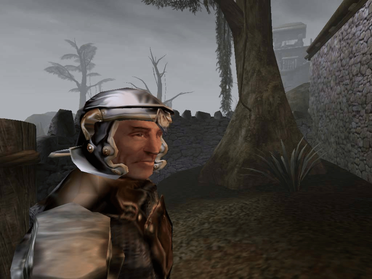 The Elder Scrolls III: Morrowind - Game of the Year Edition screenshot