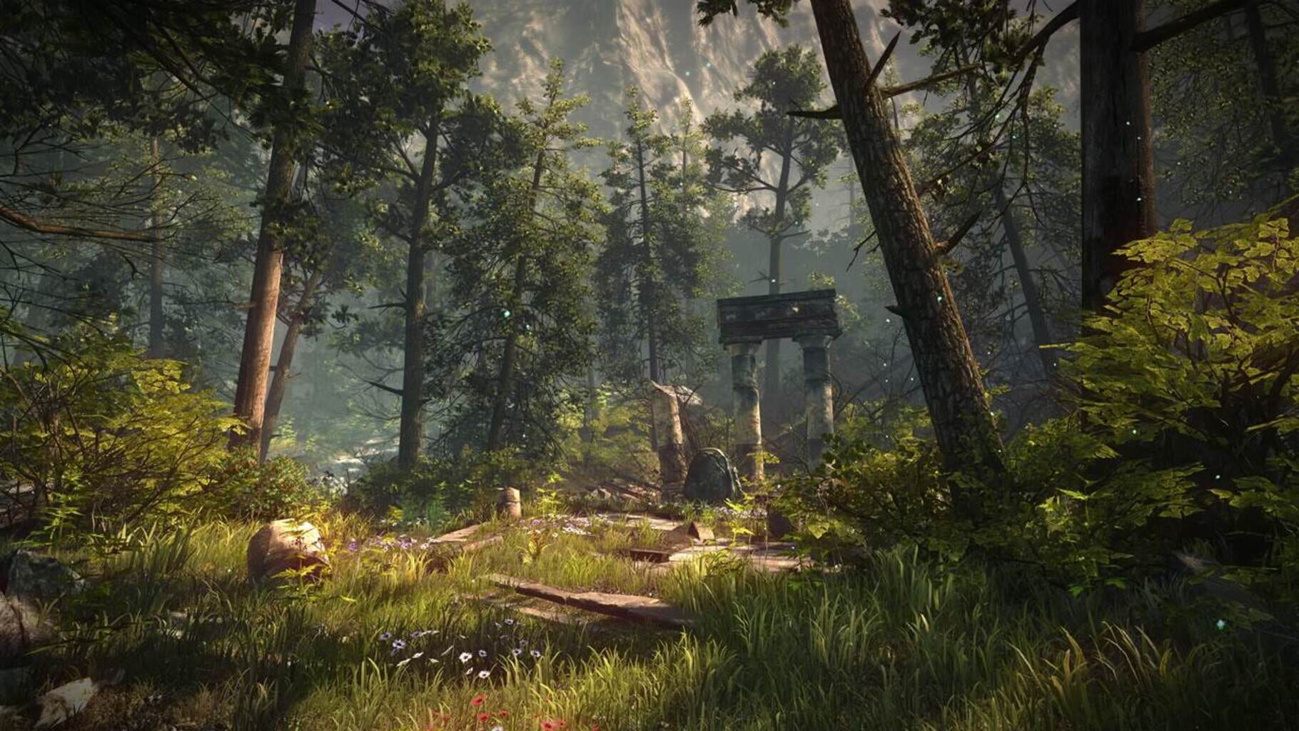 The Forest screenshots