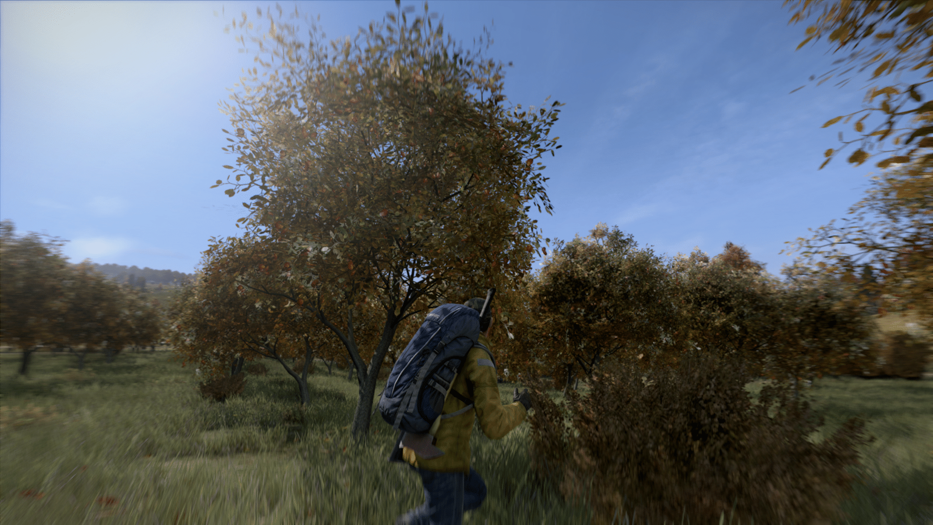 DayZ screenshot