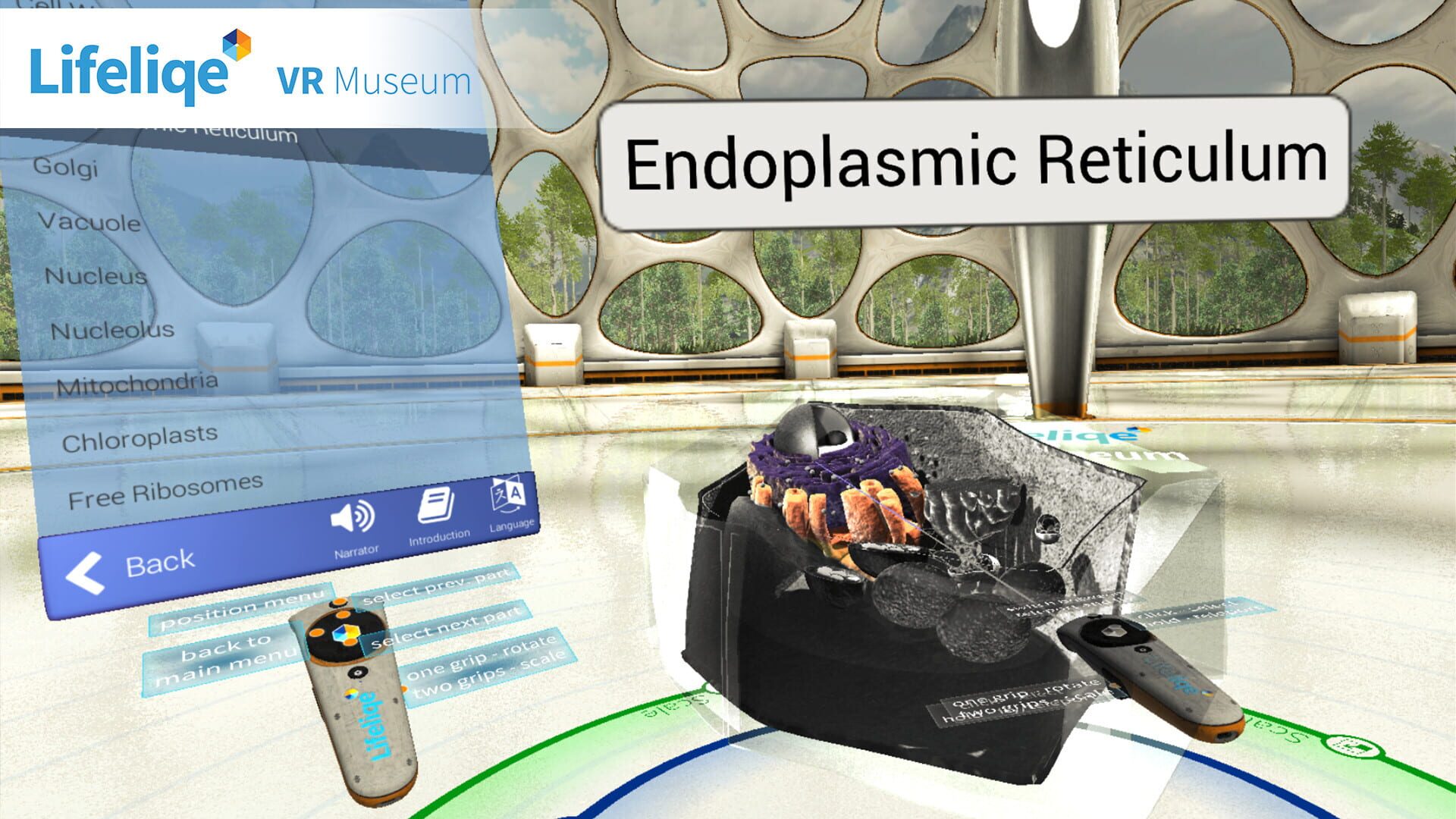 Lifeliqe VR Museum - Screenshot
