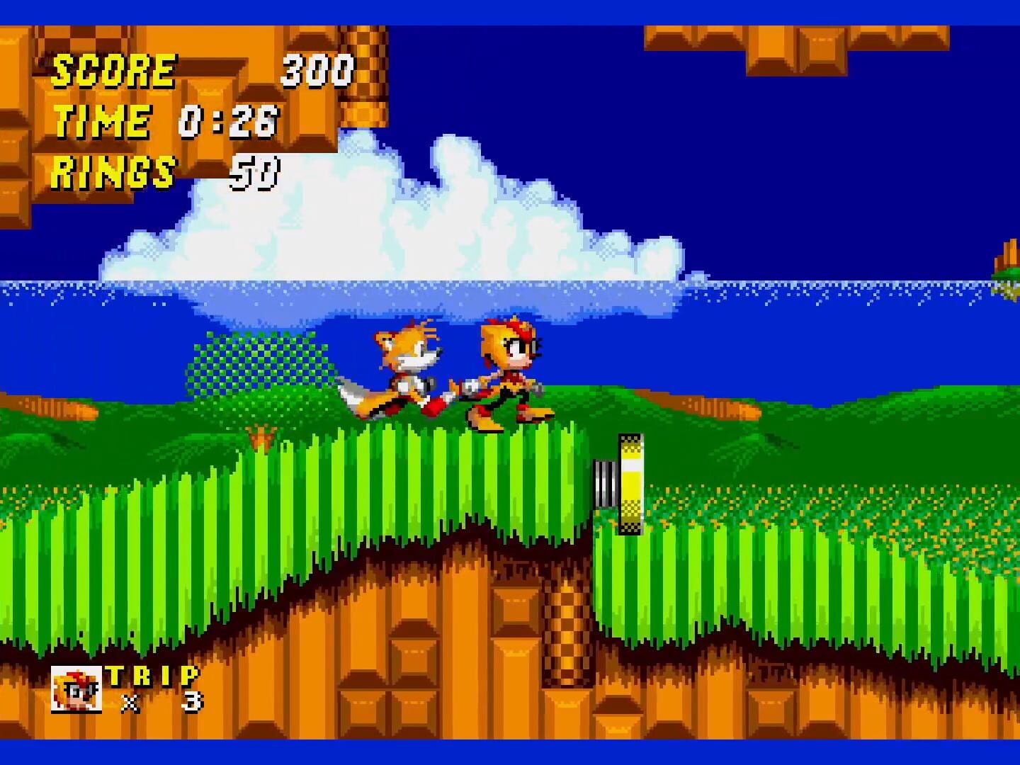 Amy & Trip in Sonic the Hedgehog 2