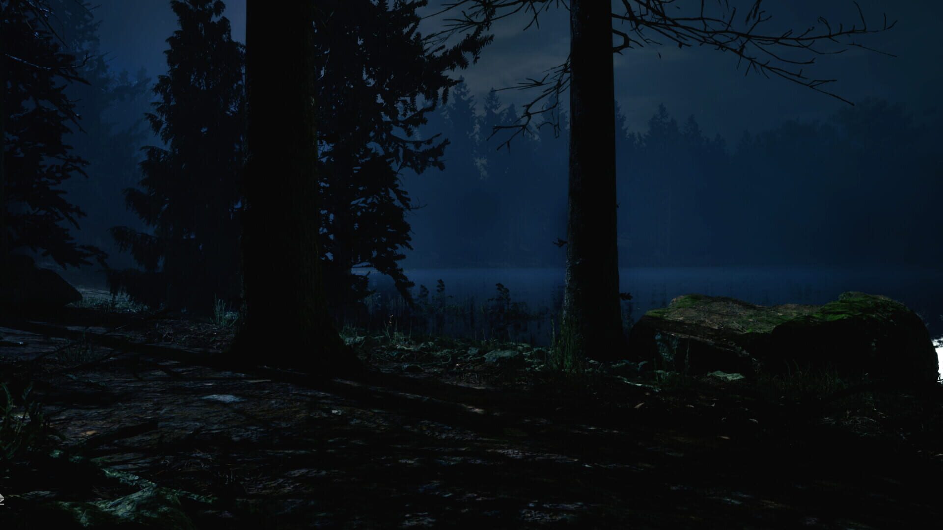 217: A Psychological Survival Thriller