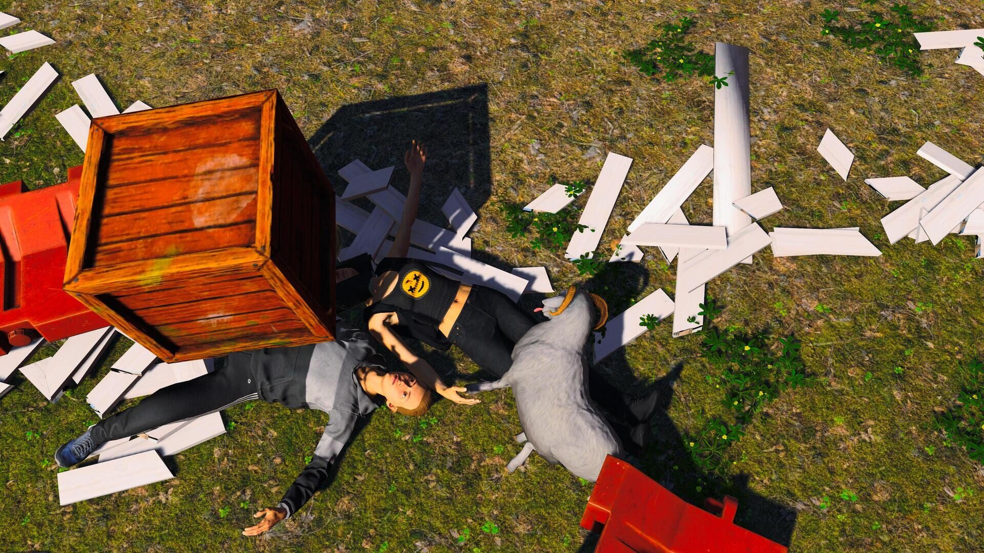 Ram Simulator screenshot