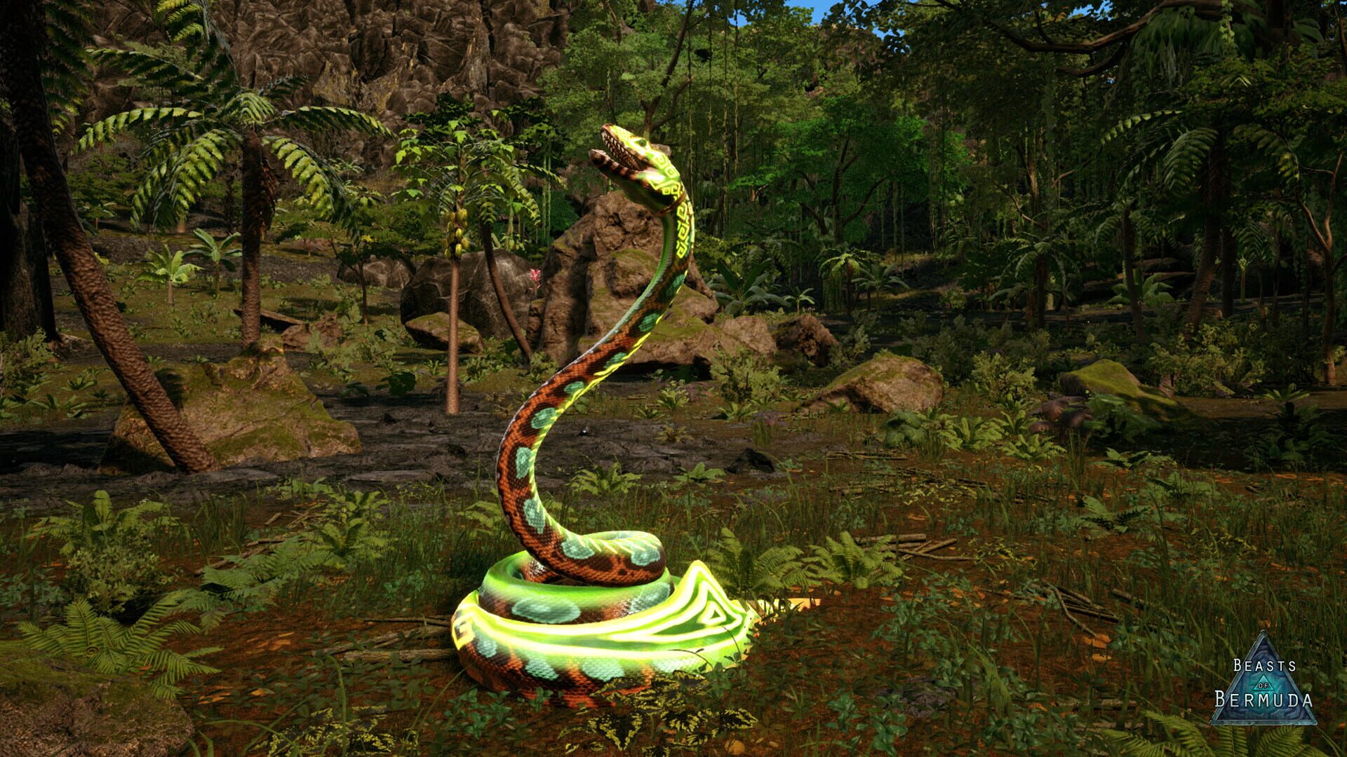 Beasts of Bermuda: Palaeophis Supporter Warpaint