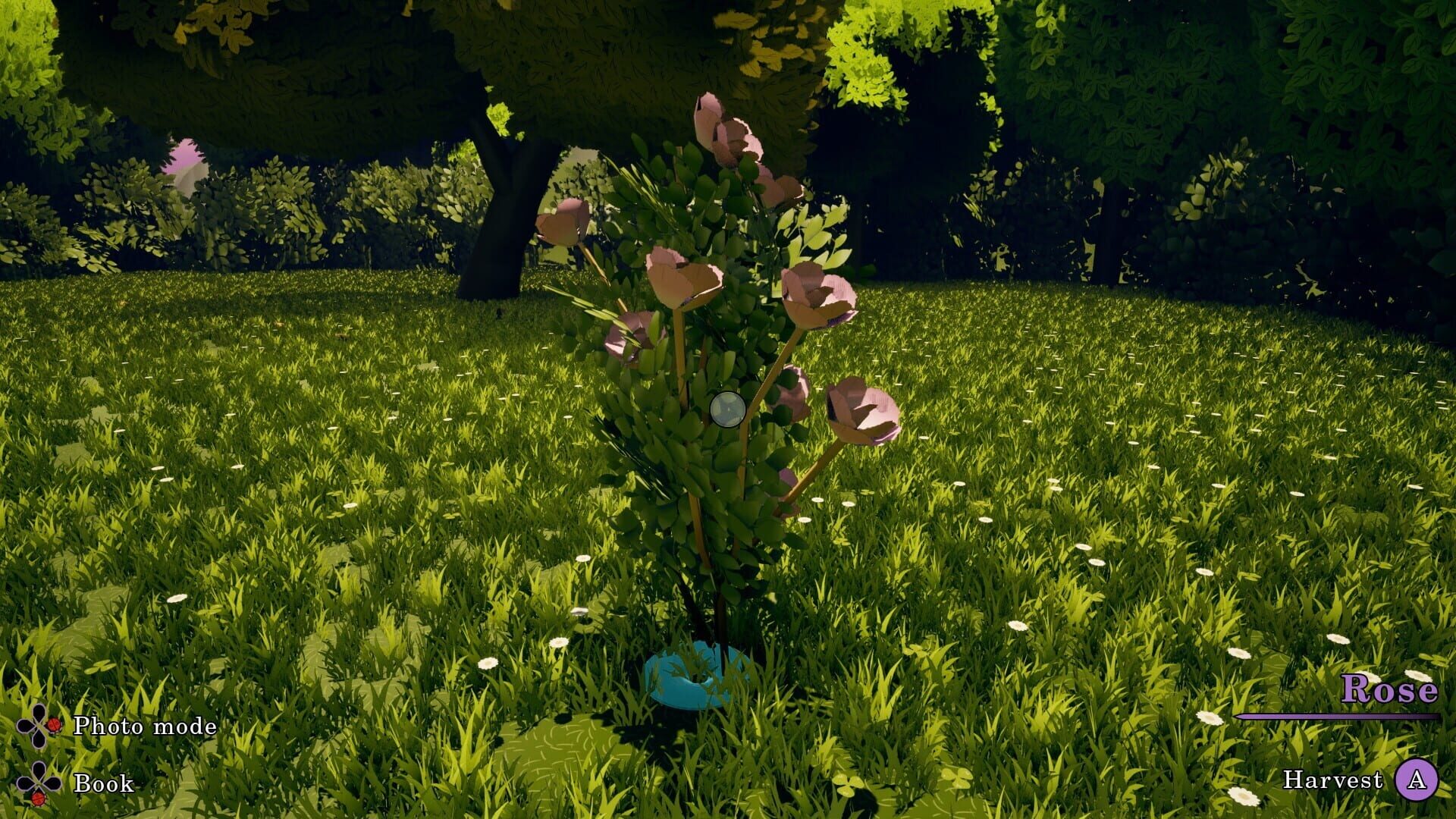 Flowerbloom Cottage - Screenshot