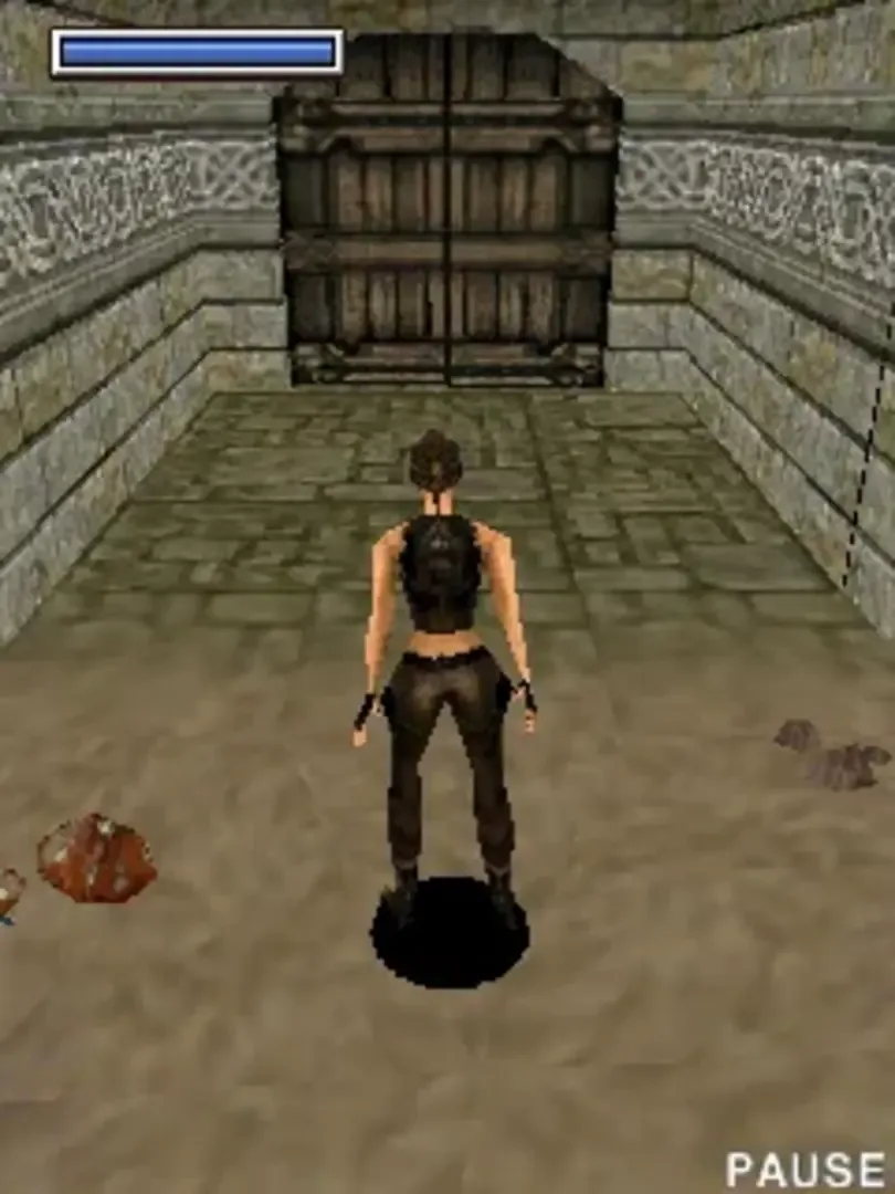 Tomb Raider: Underworld