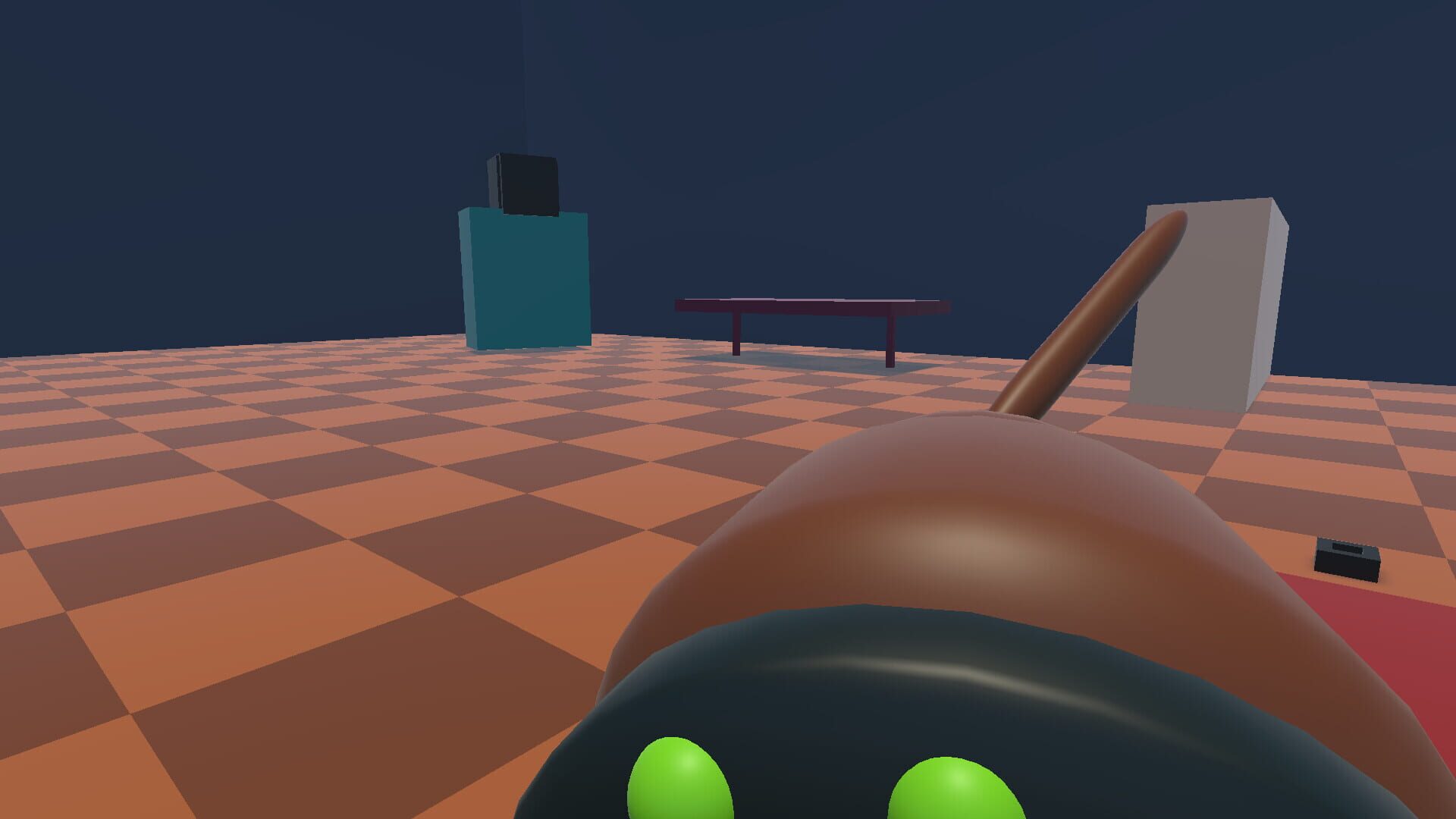 Kaya The Dog - Capture 5