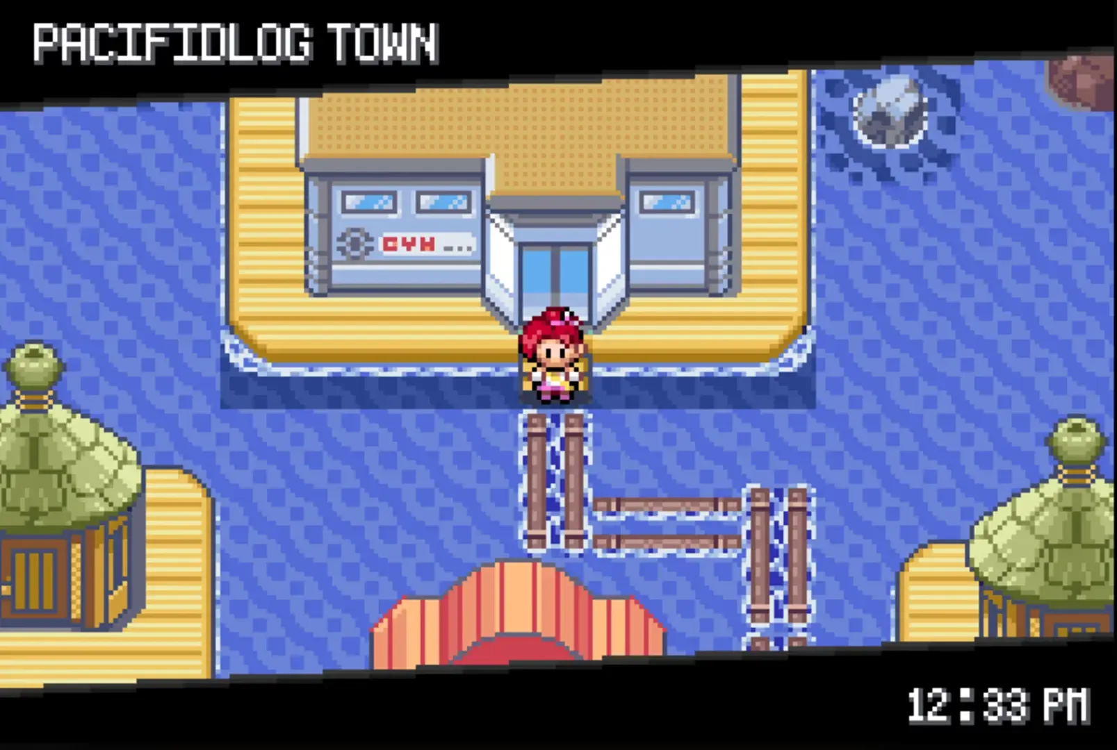 Pokemon: Too Many Types 2