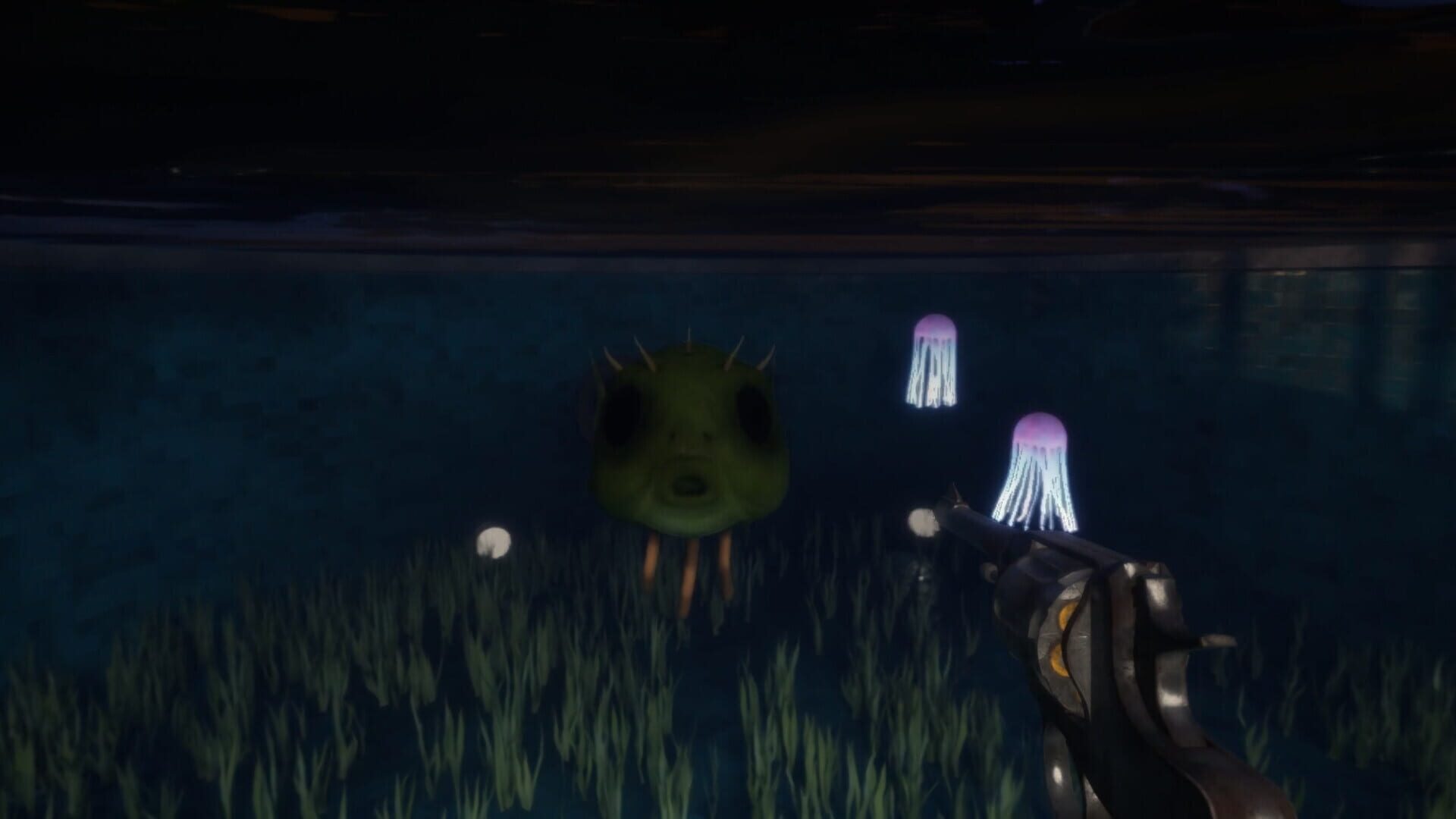 Fish Eyes - Screenshot