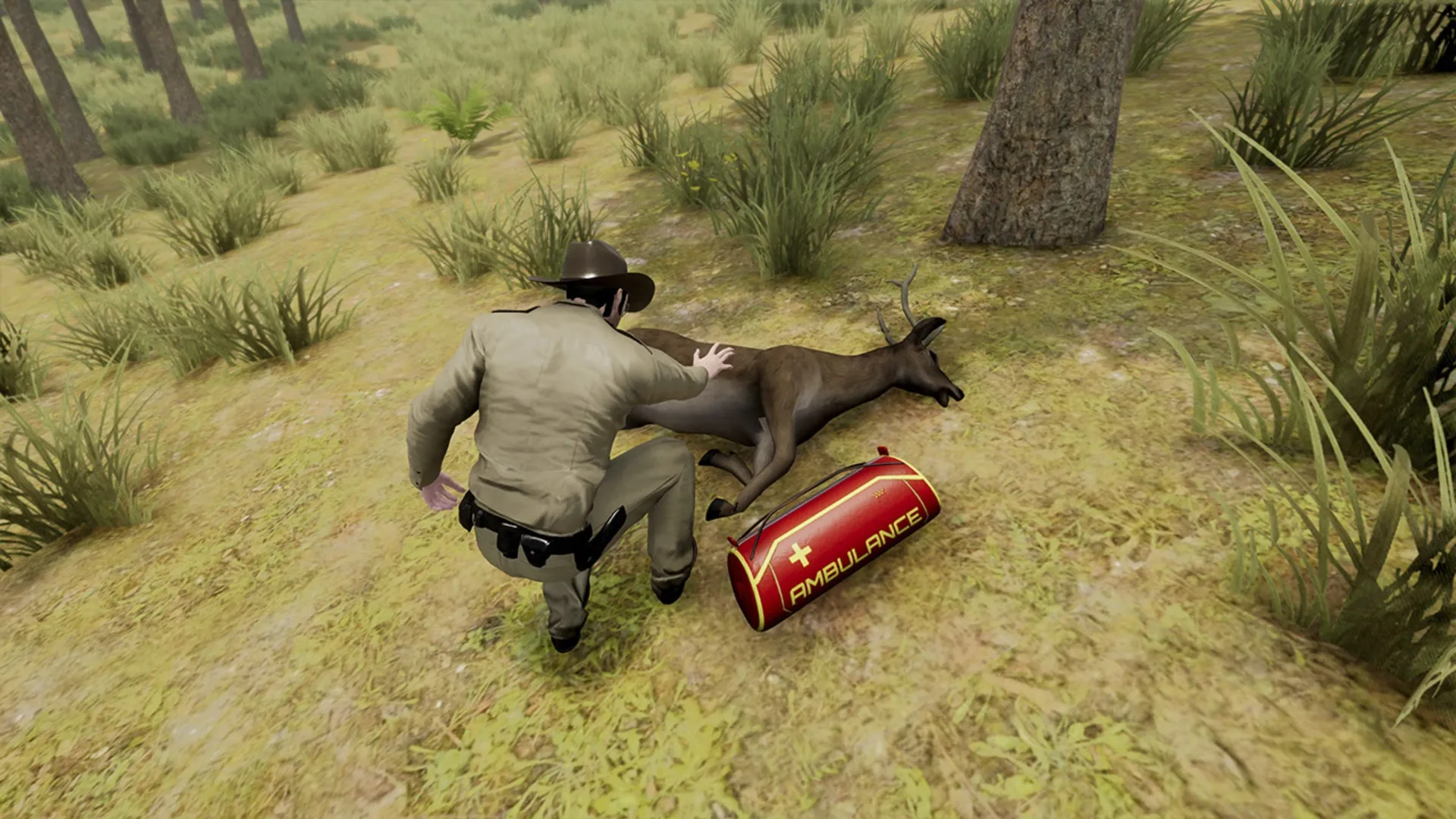 Thumbnail 5