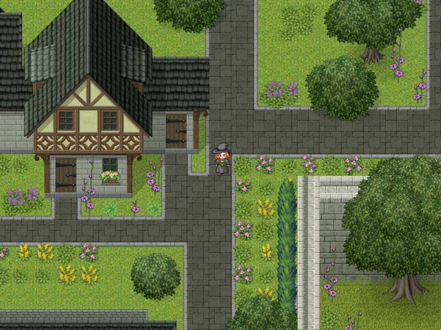 The Witch and the Warrior - Screenshot