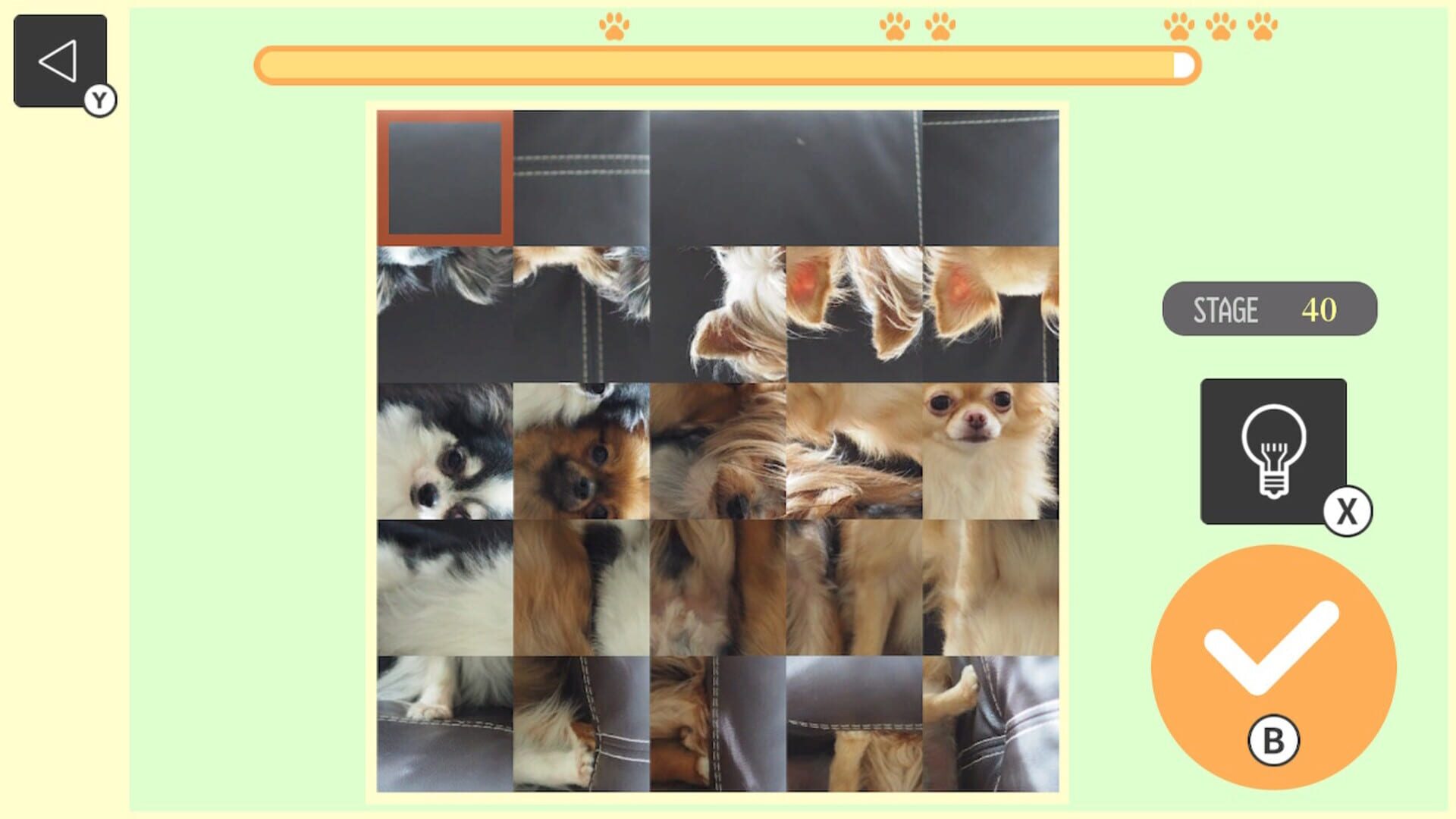 Brain Workout! Spinning Dog Puzzle