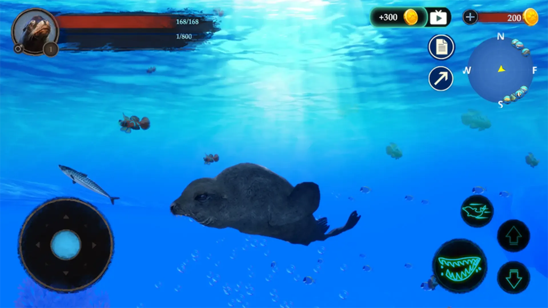 The Sea Lion