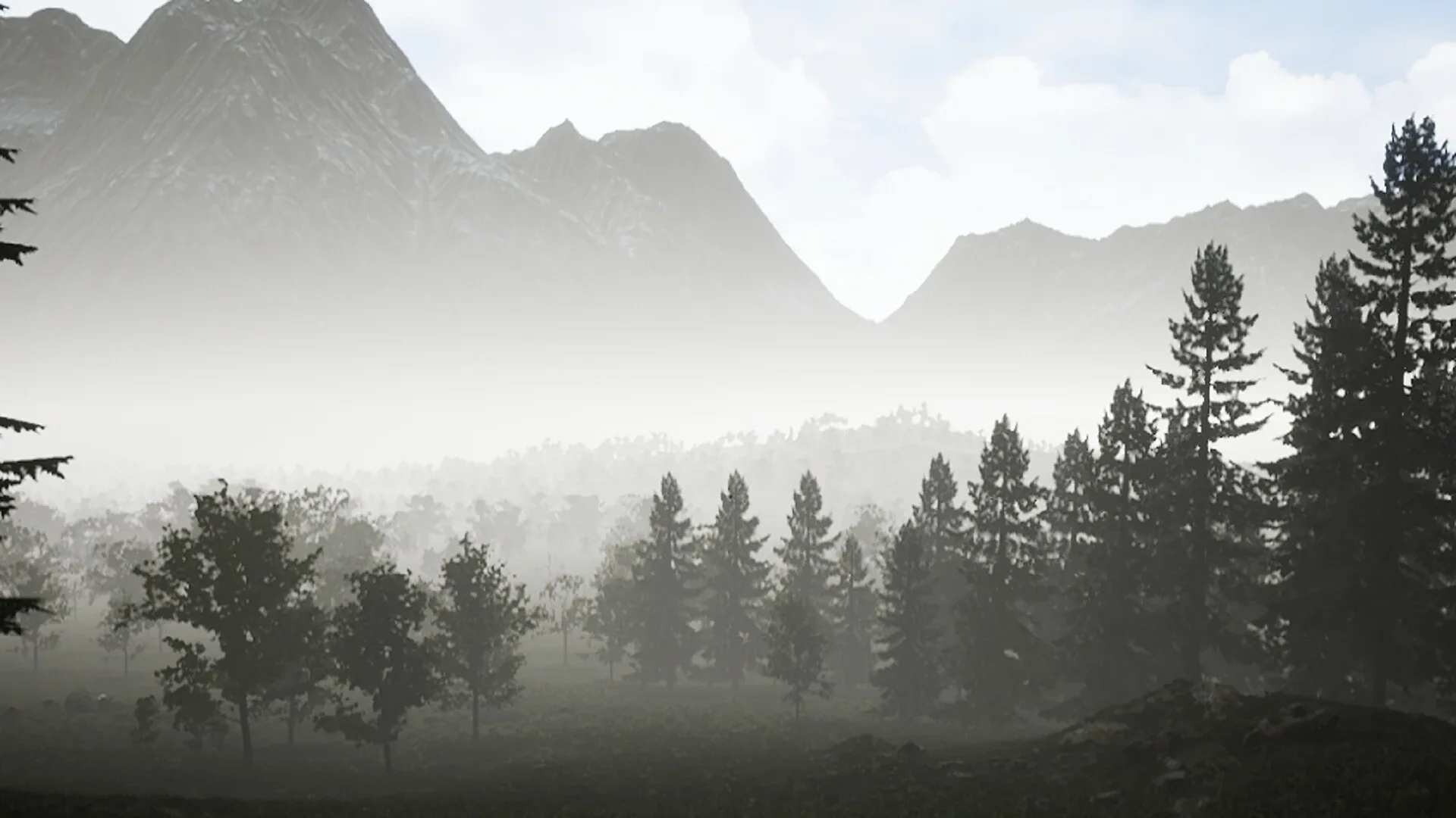 Thumbnail 13