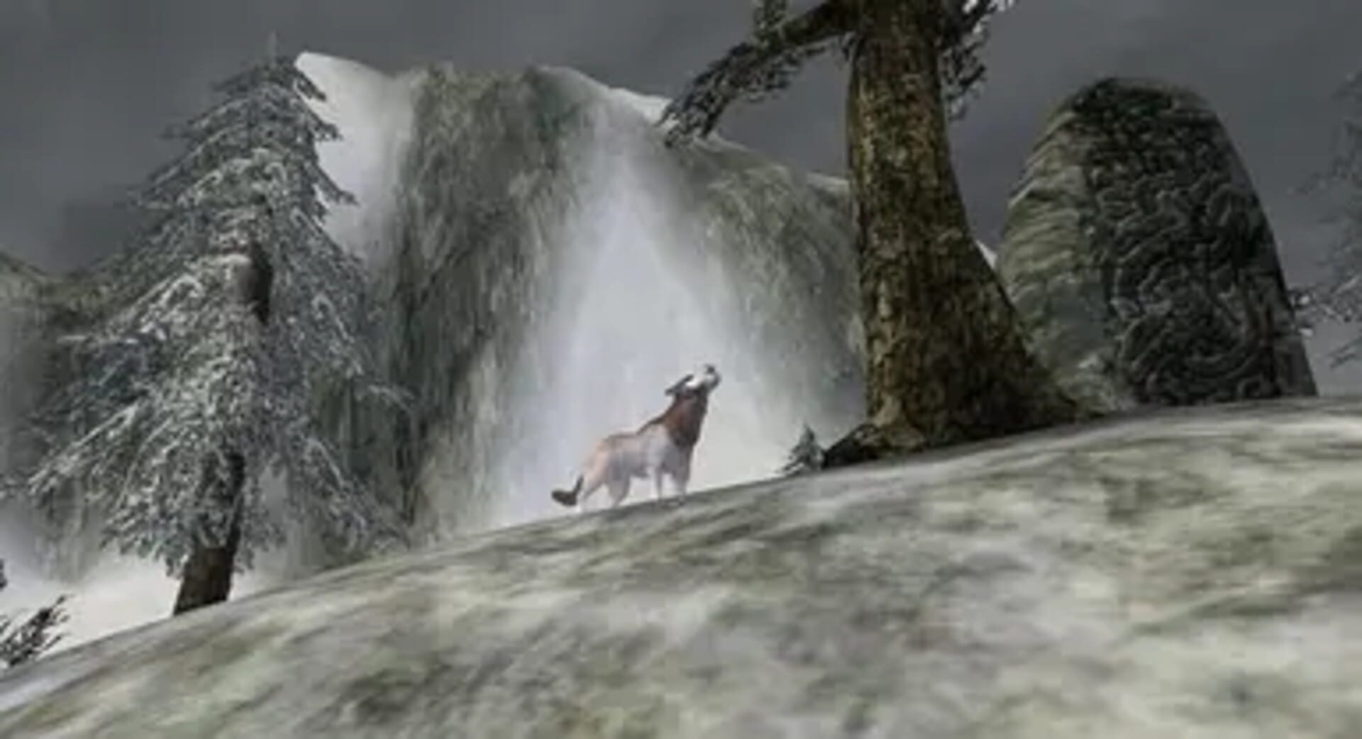 The White Wolf of Lokken Mountain