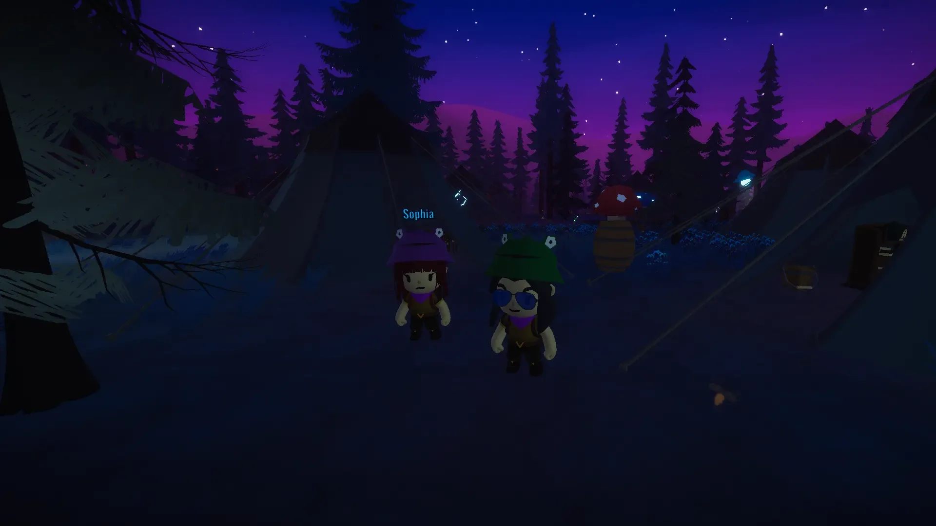 Thumbnail 13