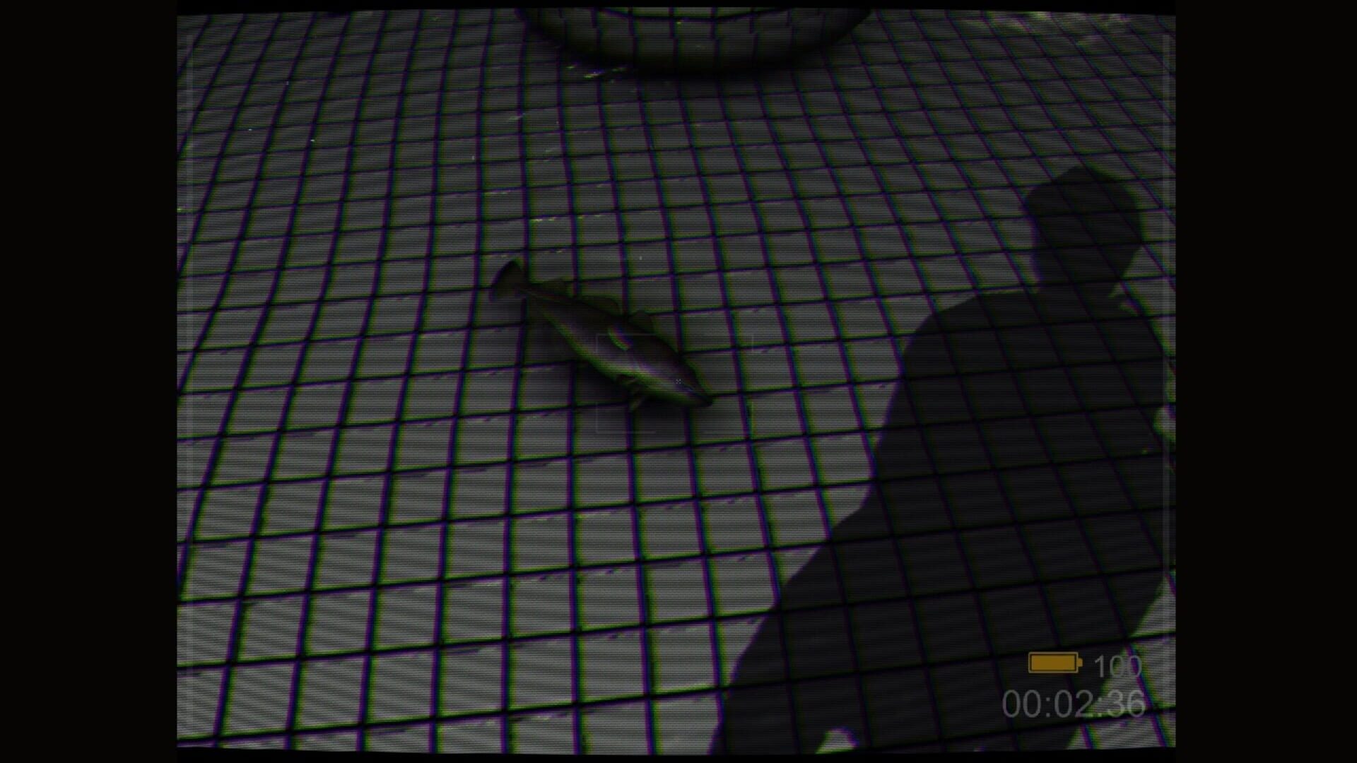 Backrooms: Poolrooms