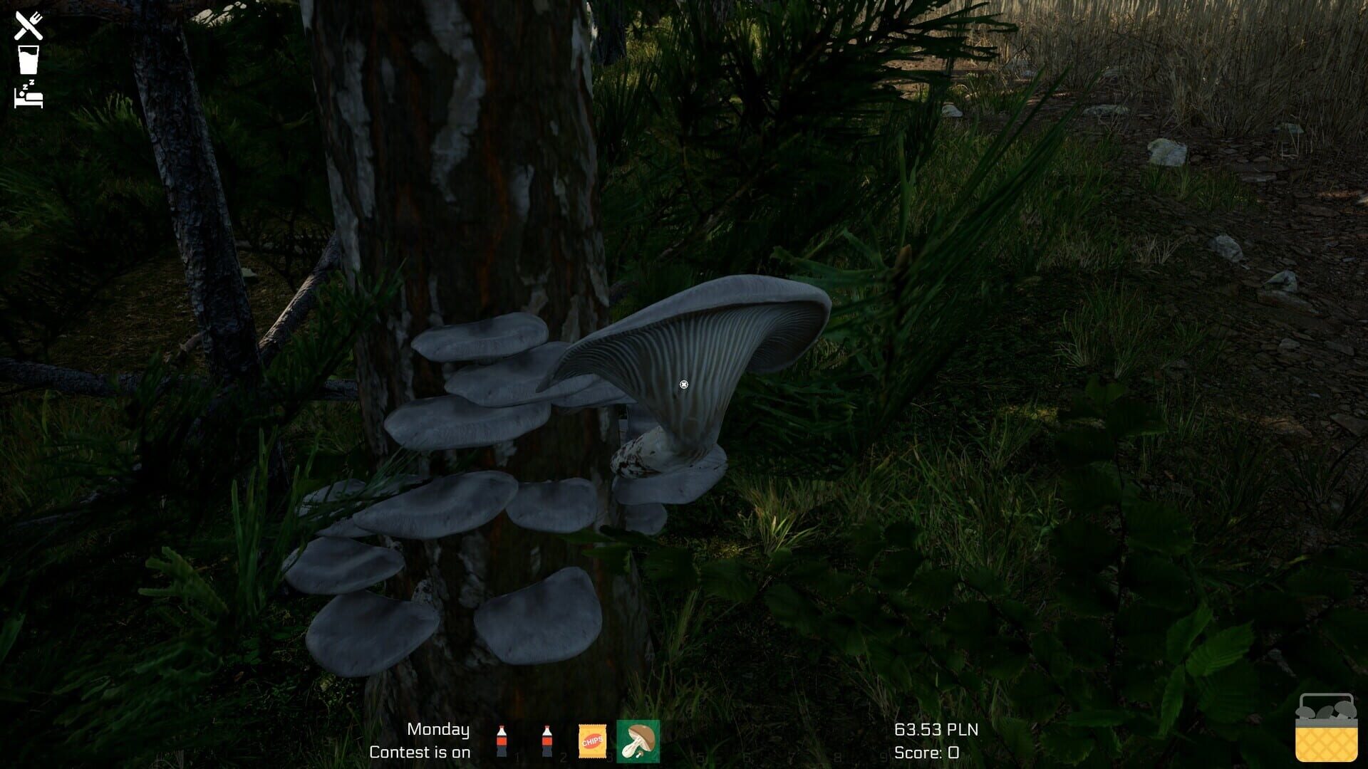 Mushroom Season - Screenshot