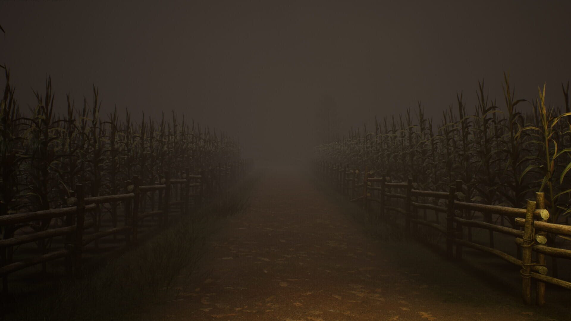 The Witch and the Lost Babies