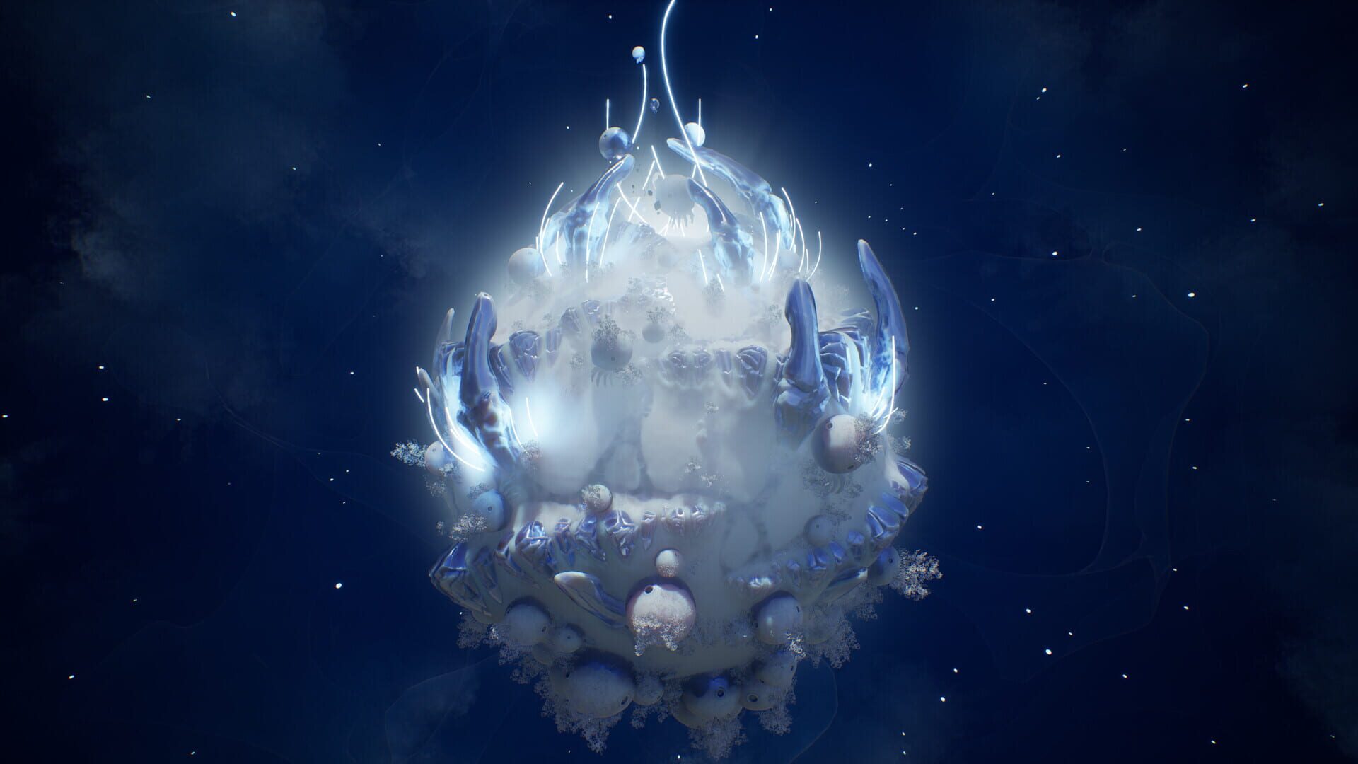 Lifecycles of the Traveler Spider