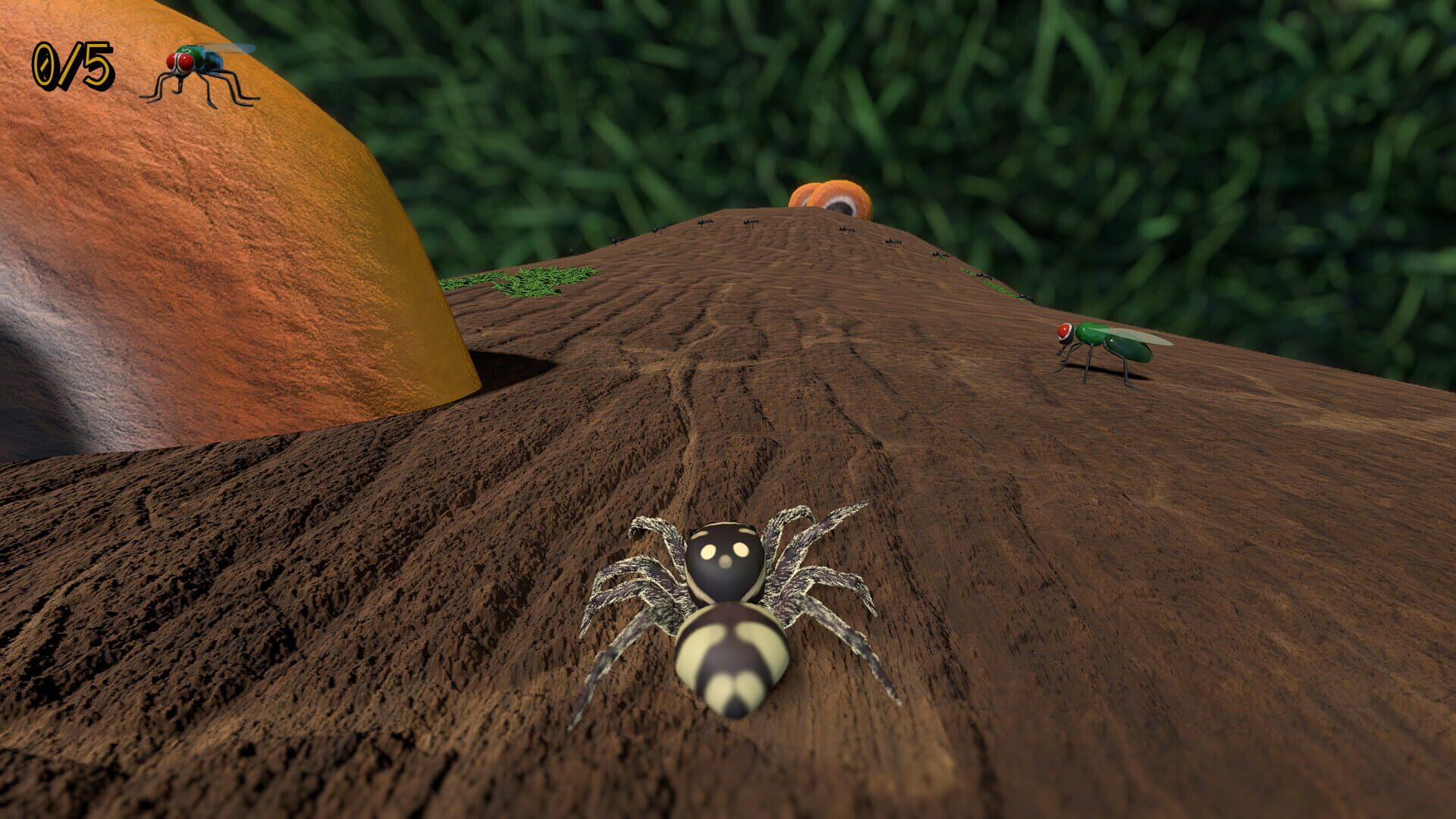 A little Jumpingspider's Garden Adventure (Day 1+2)