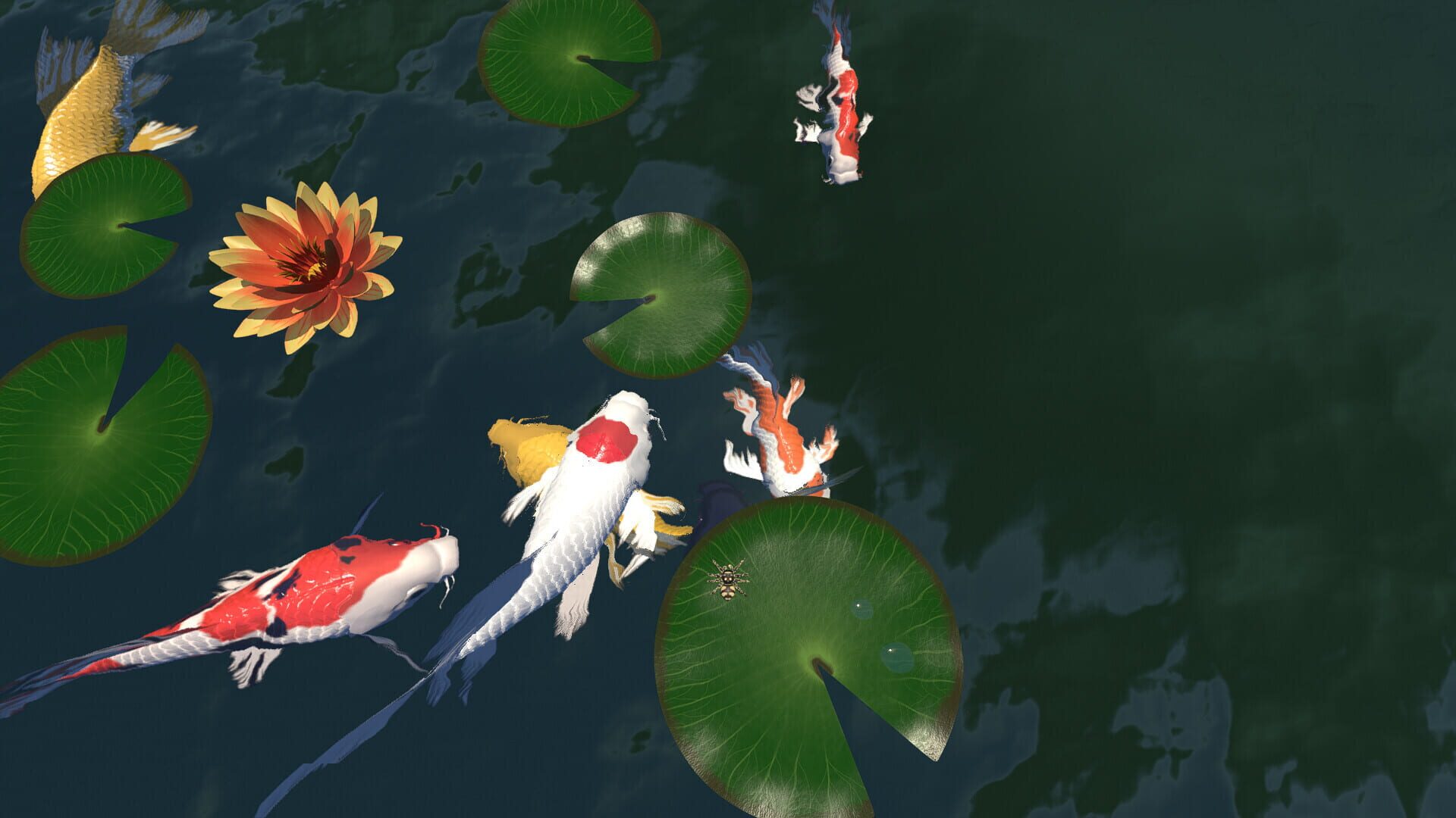 A little Jumpingspider's Garden Adventure (Day 1+2)