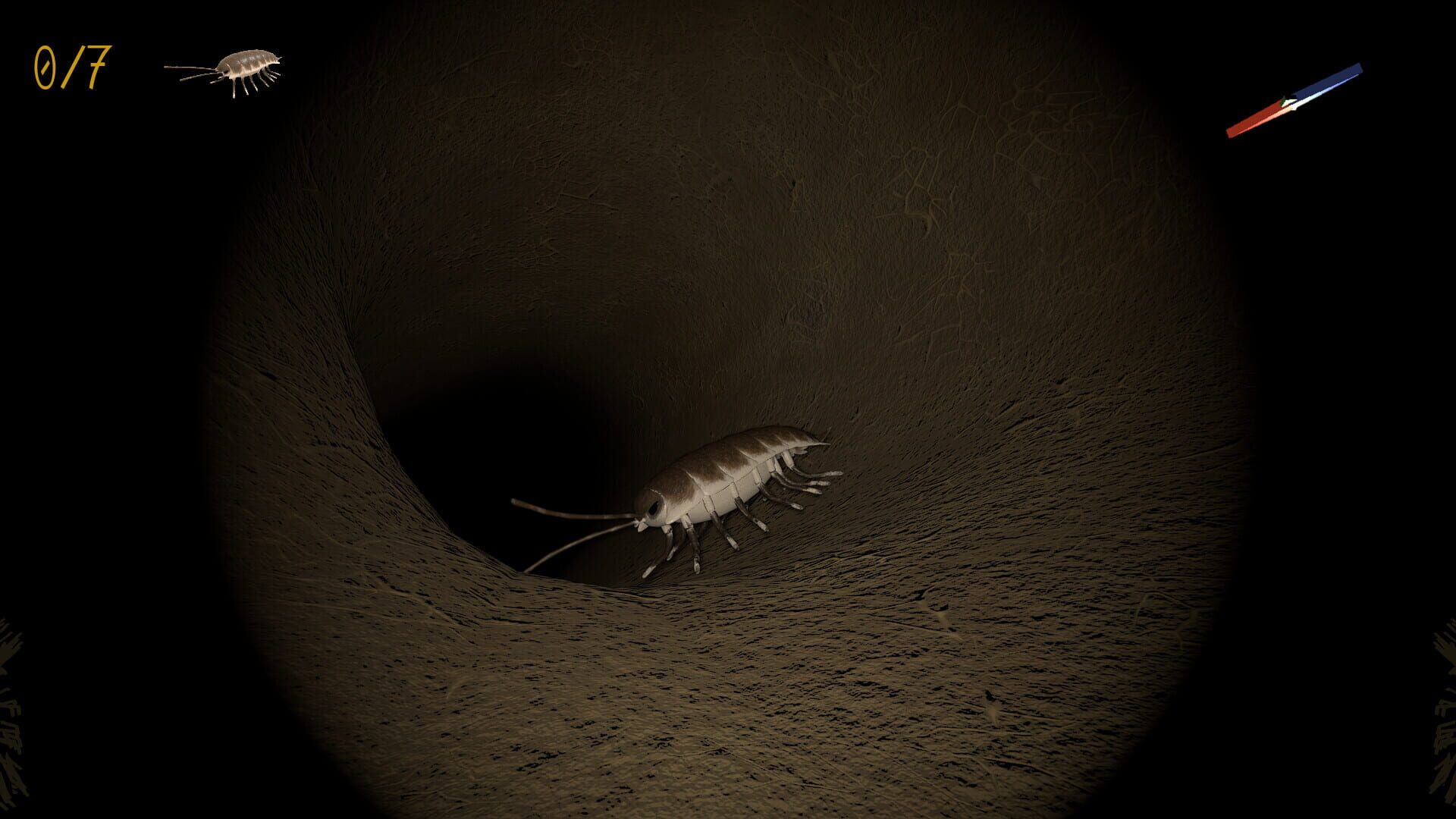 A little Jumpingspider's Garden Adventure (Day 1+2)