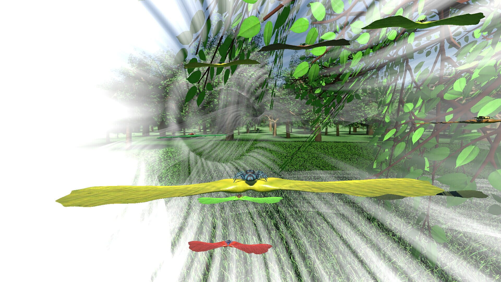 A little Jumpingspider's Garden Adventure (Day 1+2)