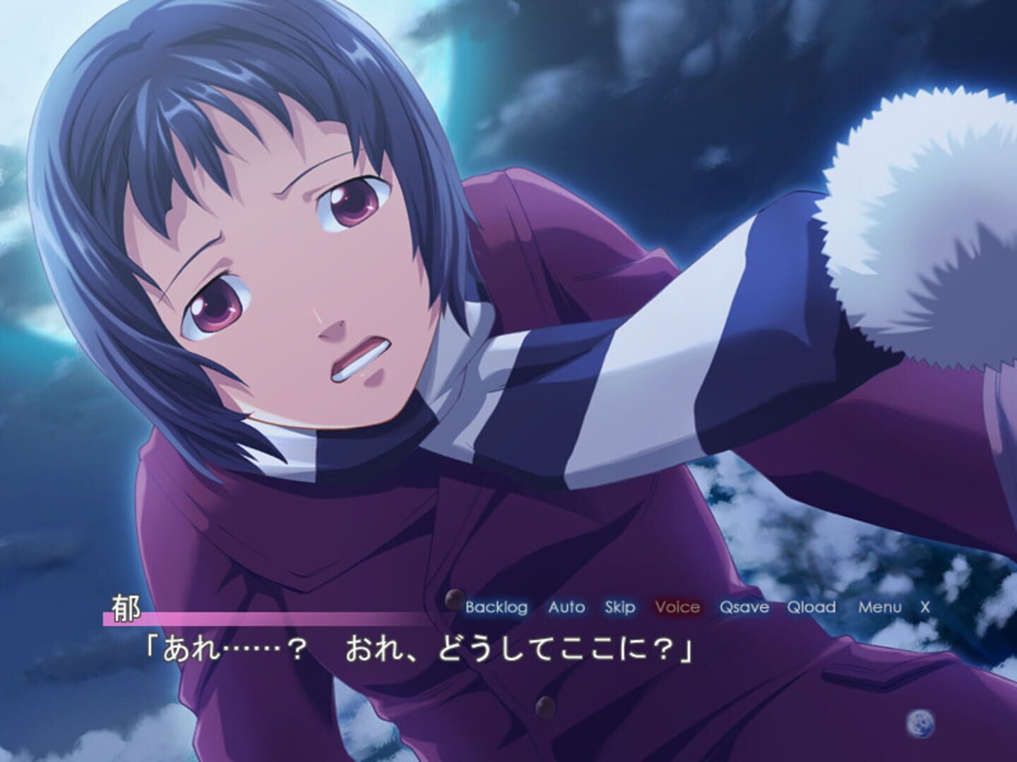 Tsukutori - Screenshot