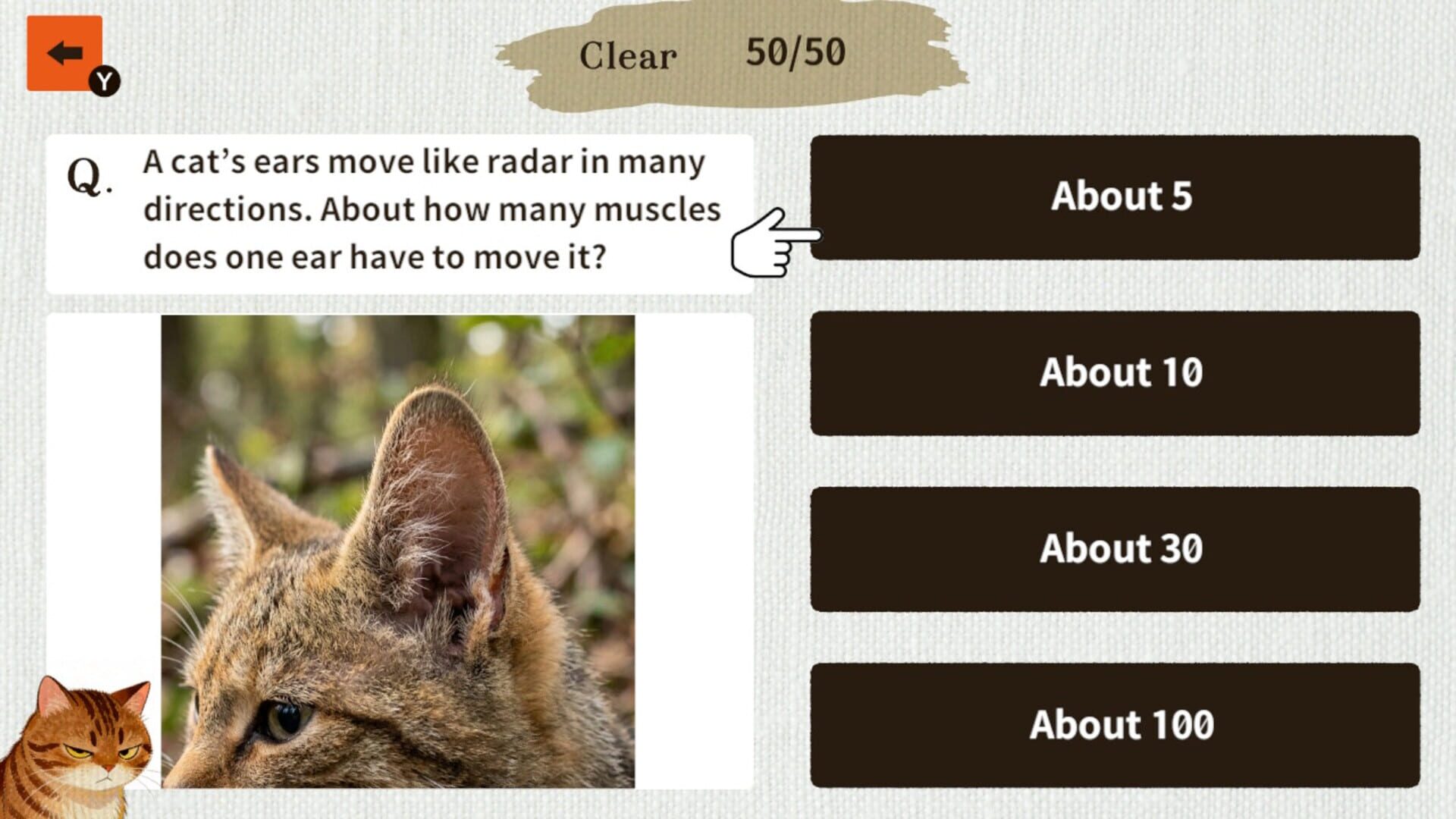 Cat Doctor: For Loyal Servants