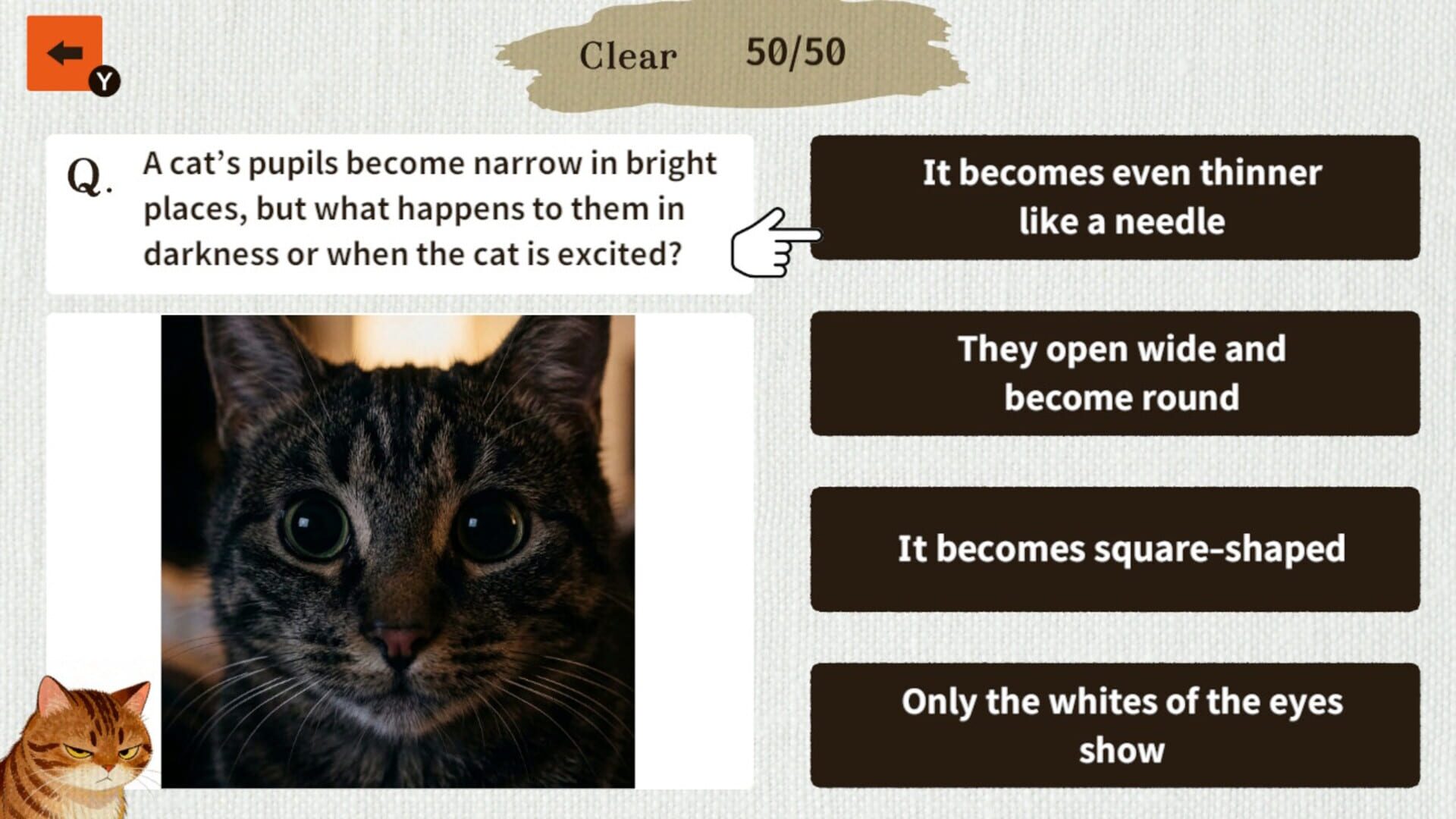 Cat Doctor: For Loyal Servants