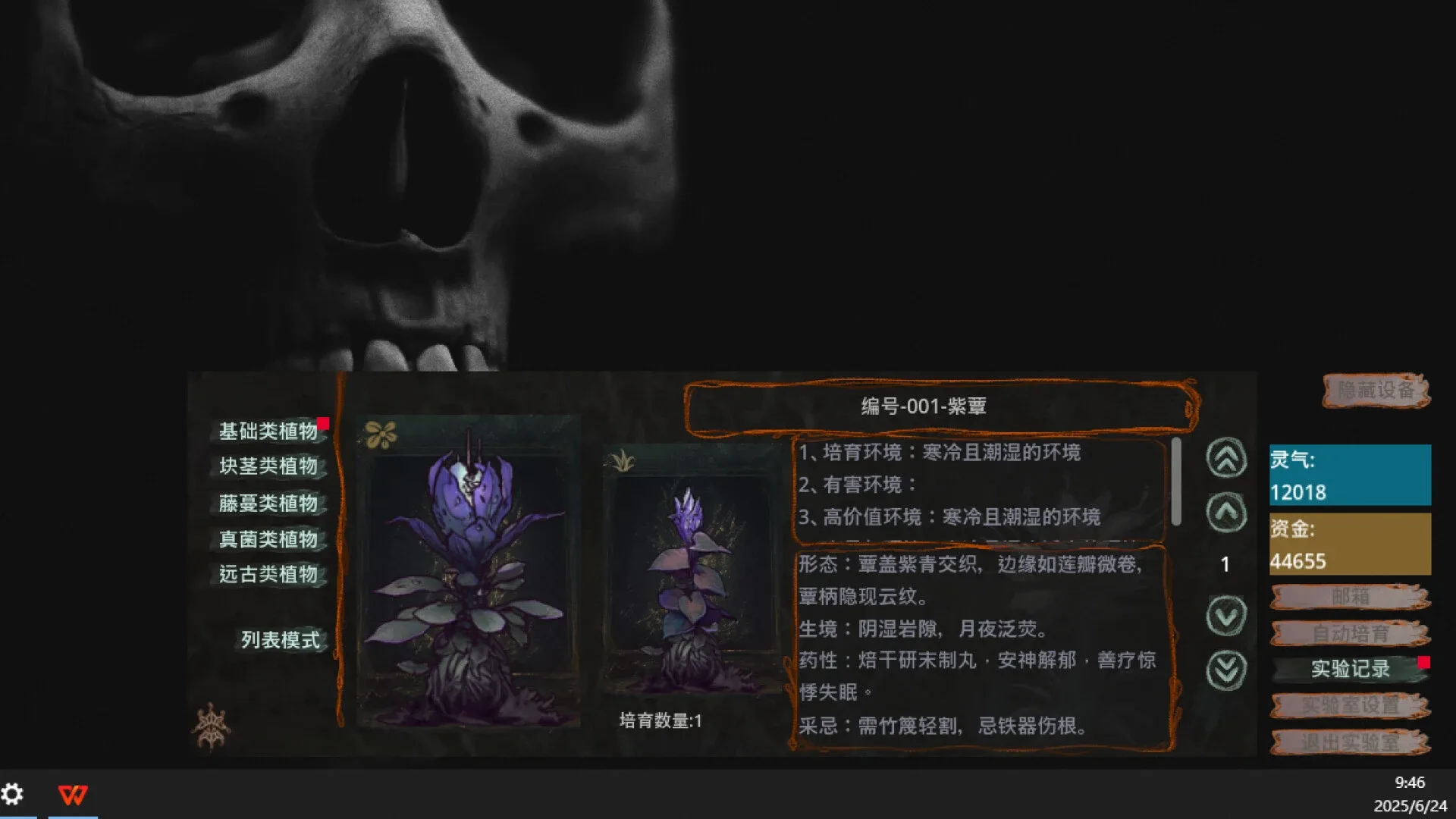 Thumbnail 2