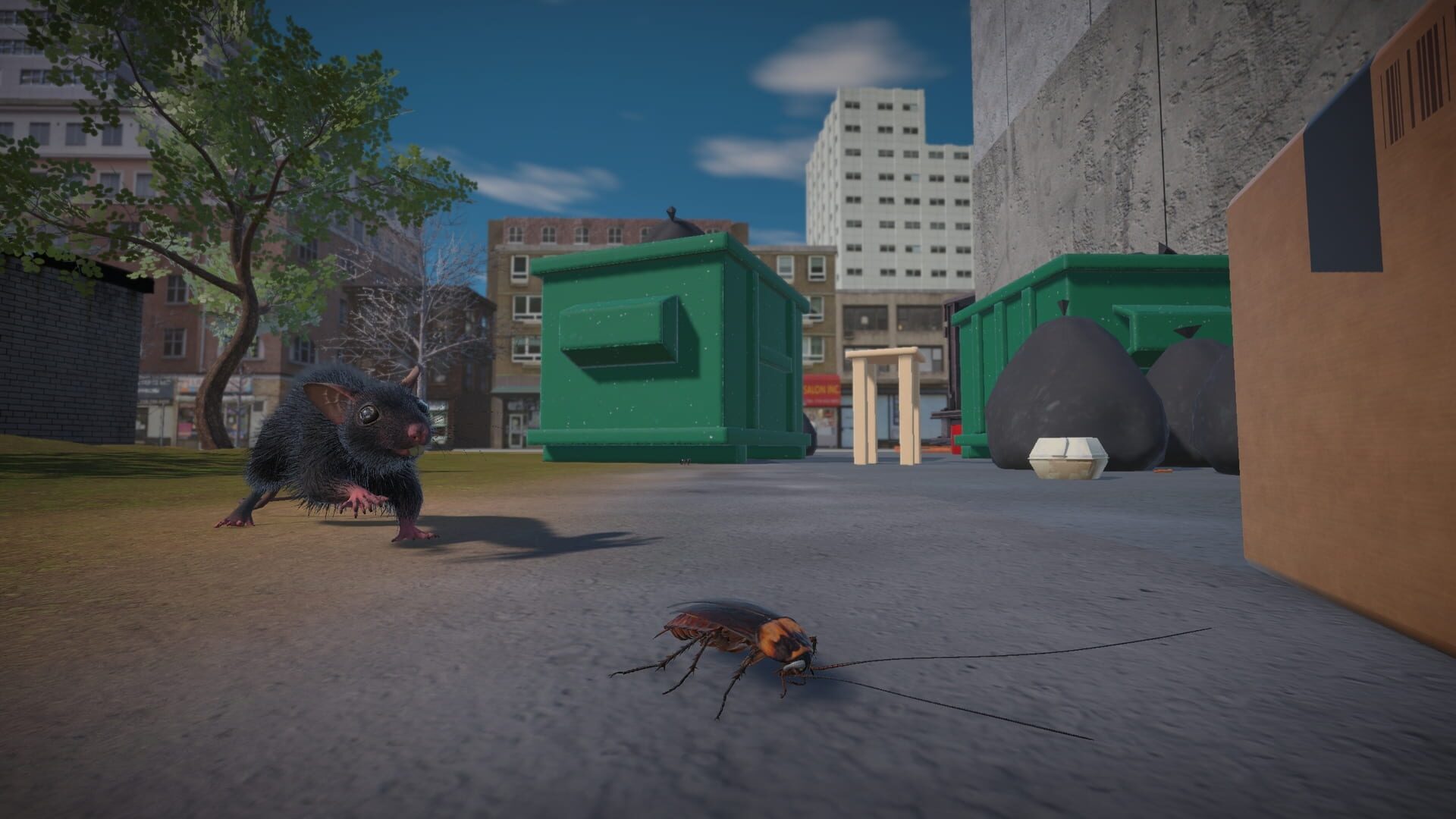 Life of a Cockroach