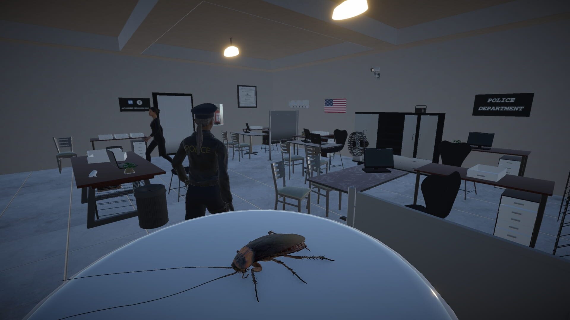 Life of a Cockroach