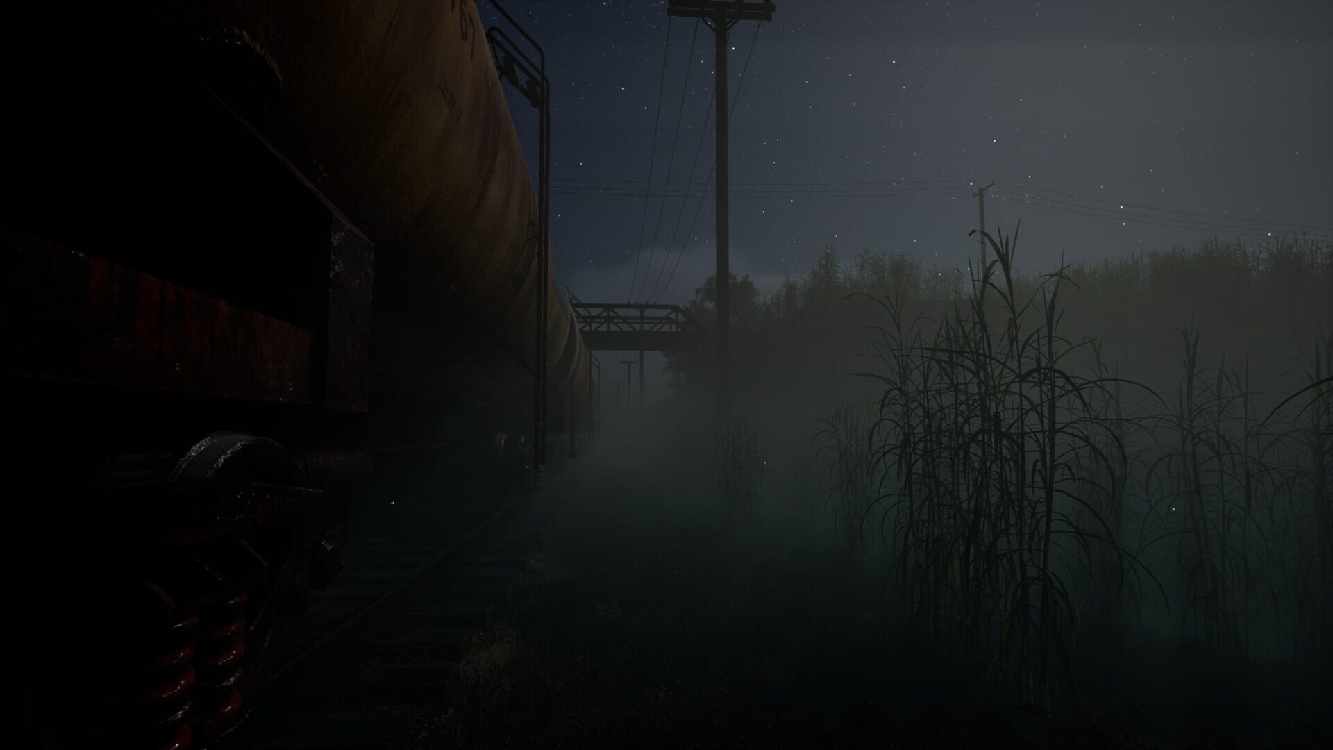 Whispers of the Tallgrass
