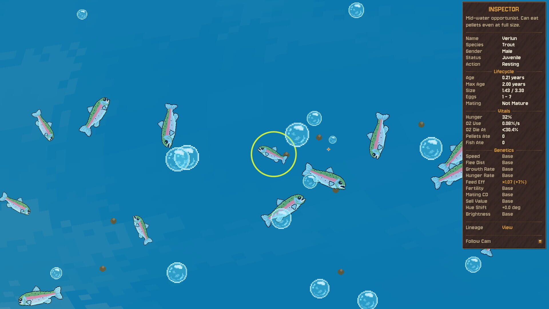 FishPond