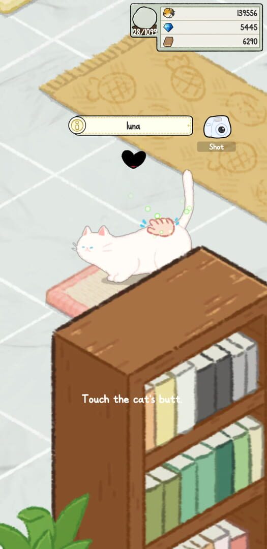 Cat Cottage