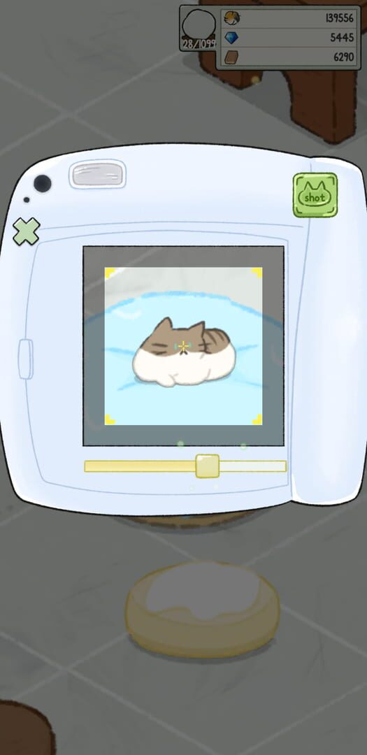 Cat Cottage