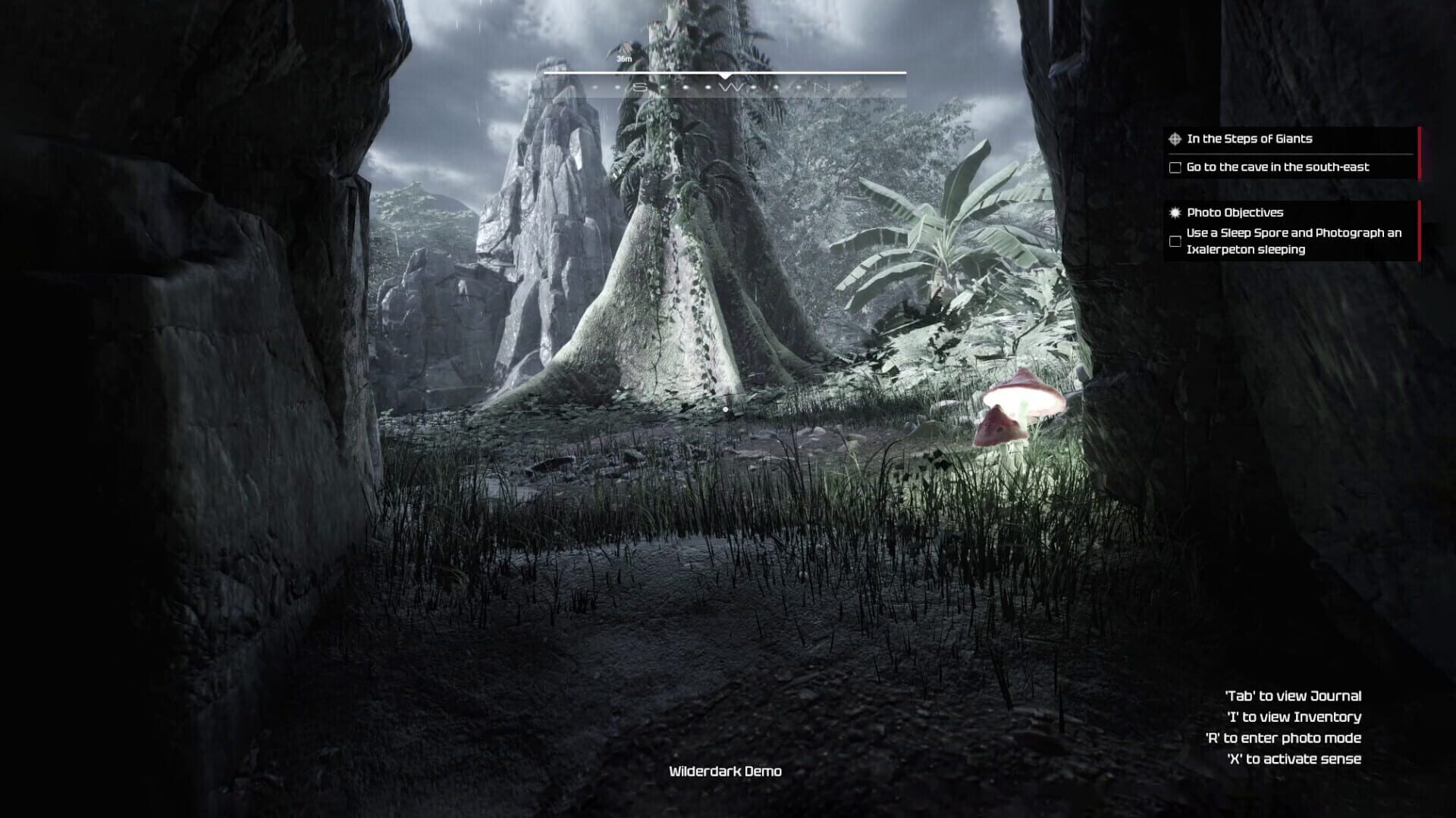 Wilderdark
