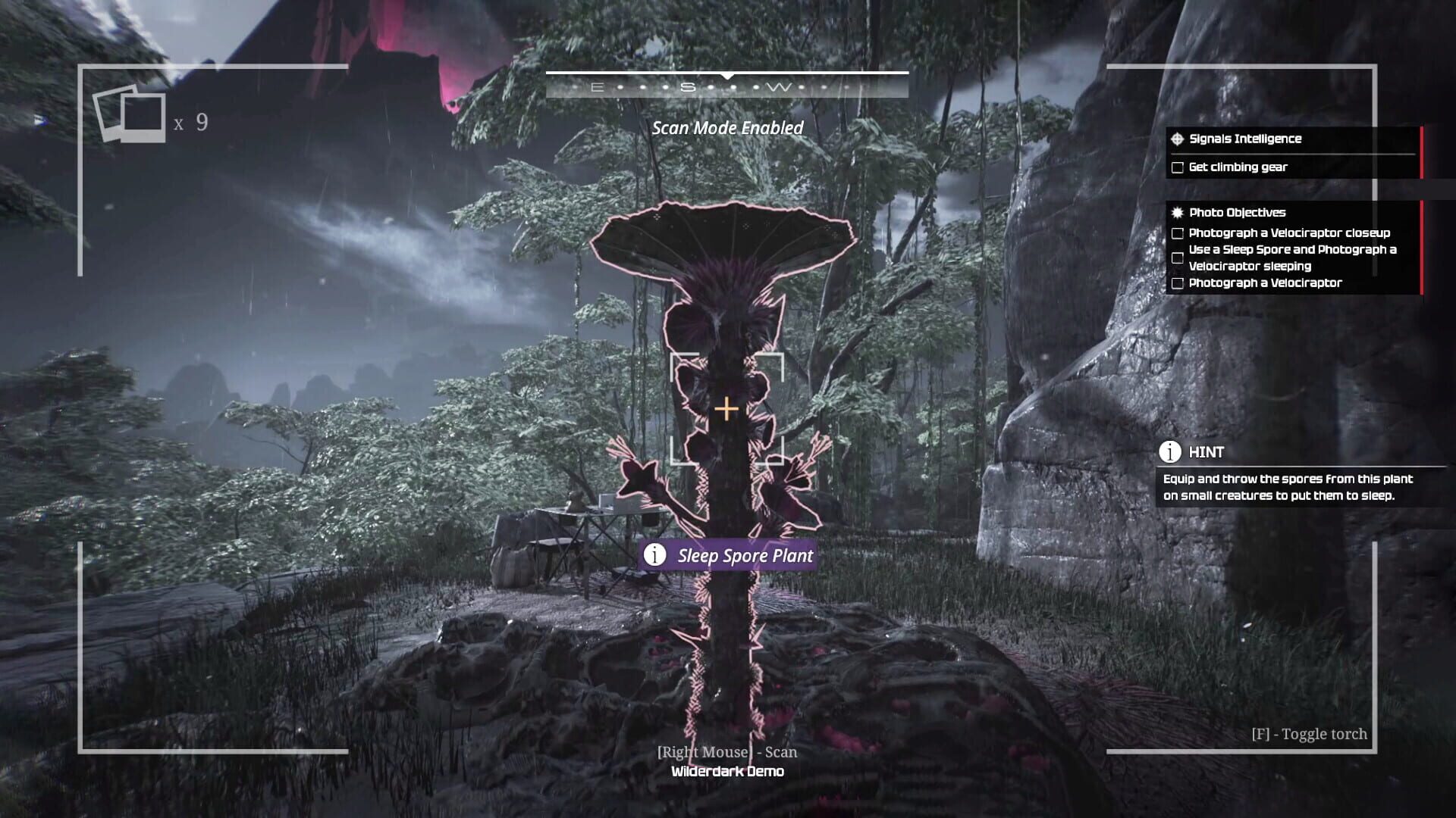 Wilderdark