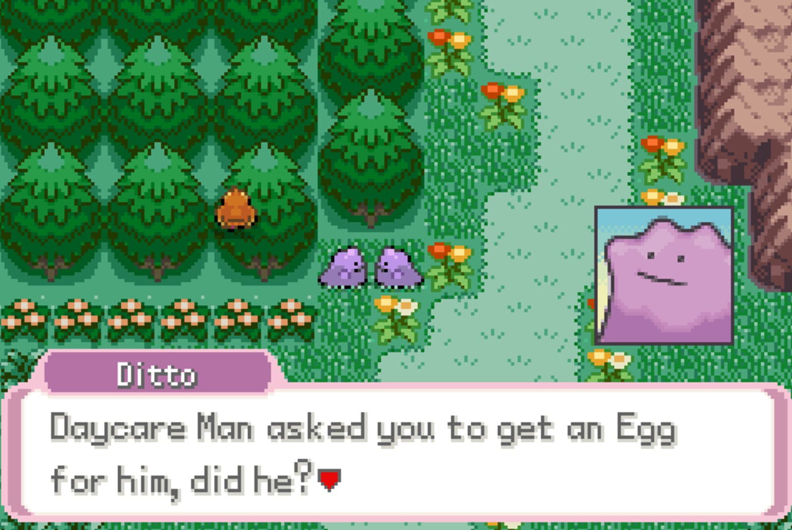 Pokemon Transform - Screenshot