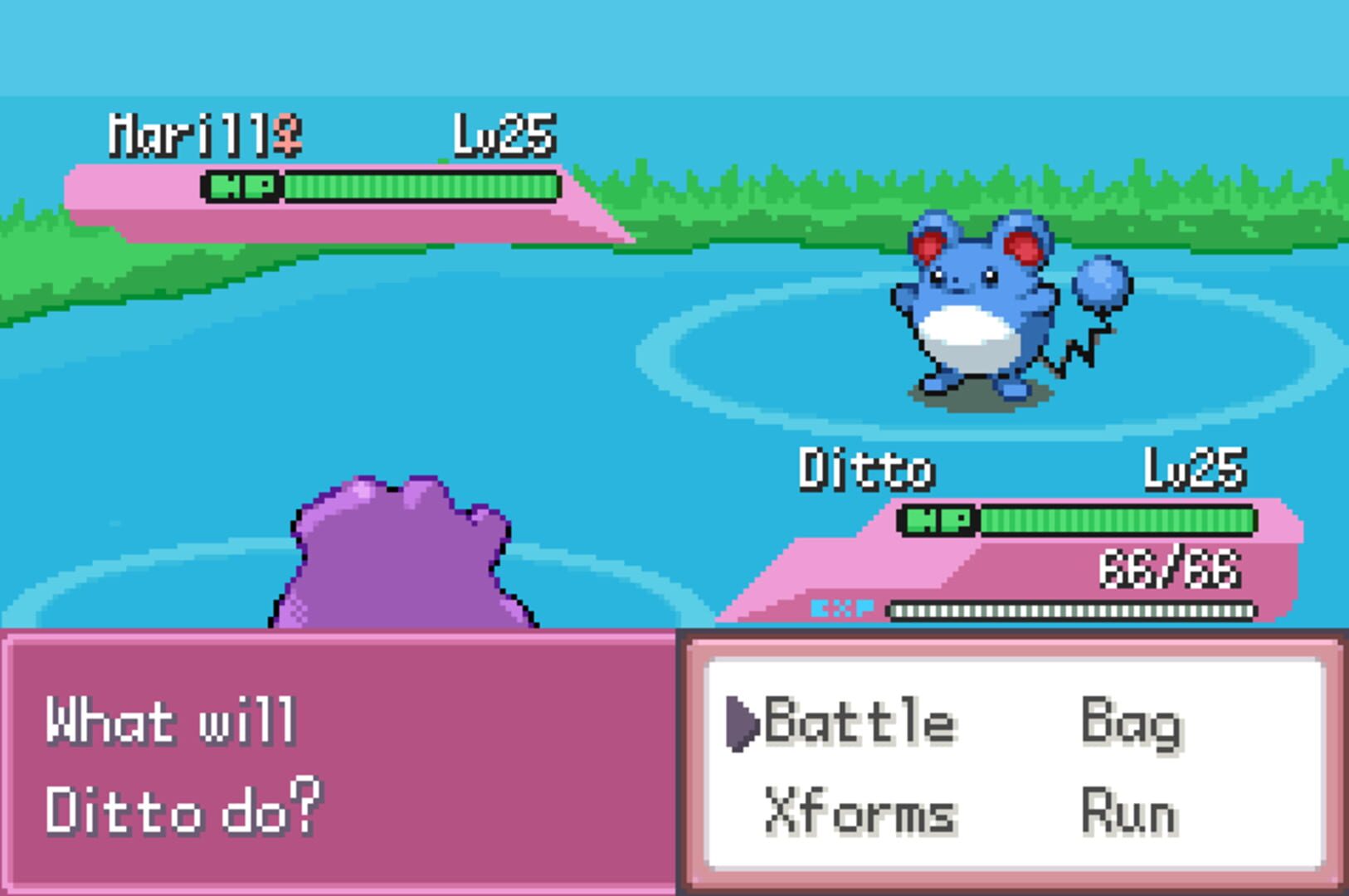 Pokemon Transform - Screenshot