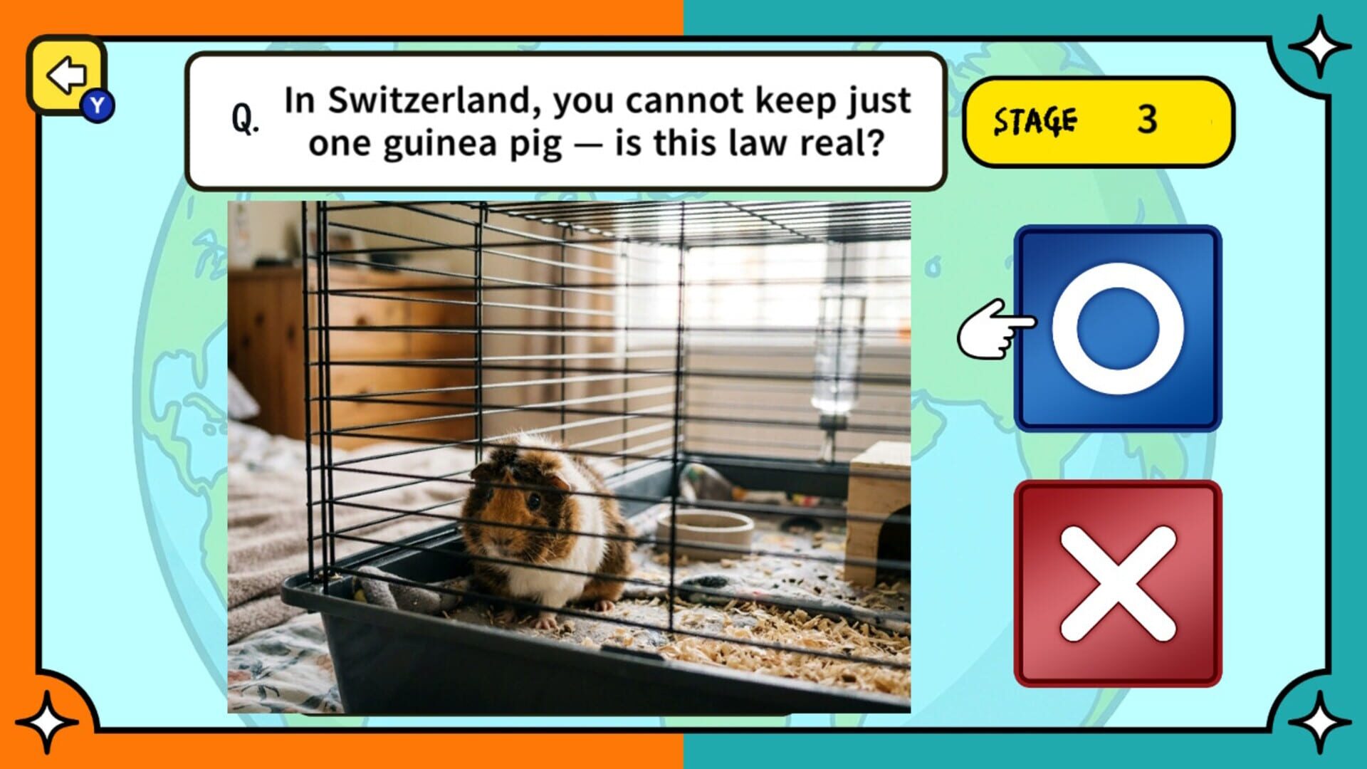 Surprising Laws Around the World True or False Quiz