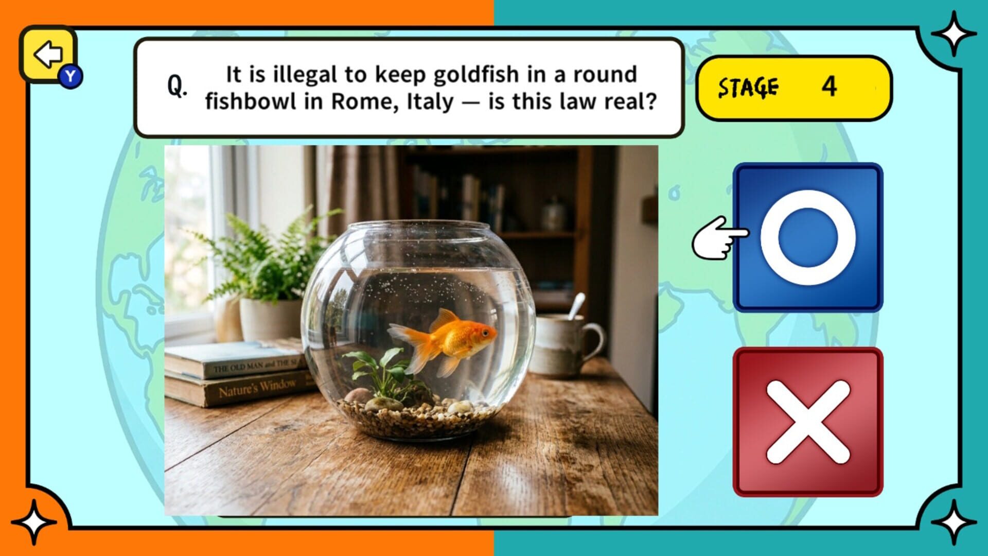 Surprising Laws Around the World True or False Quiz