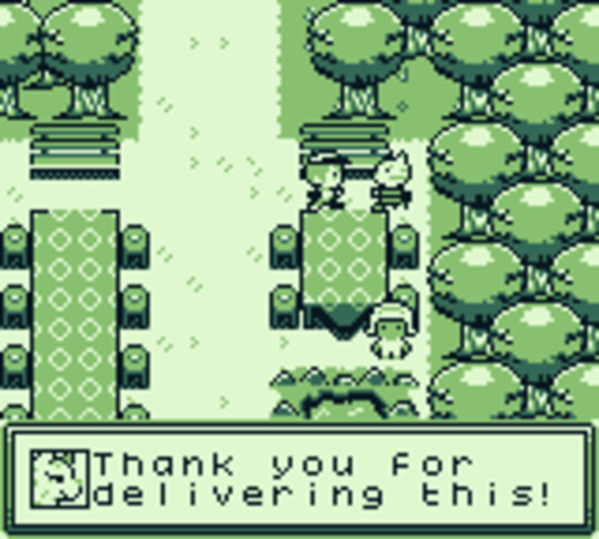 Ari's Delivery Palooza