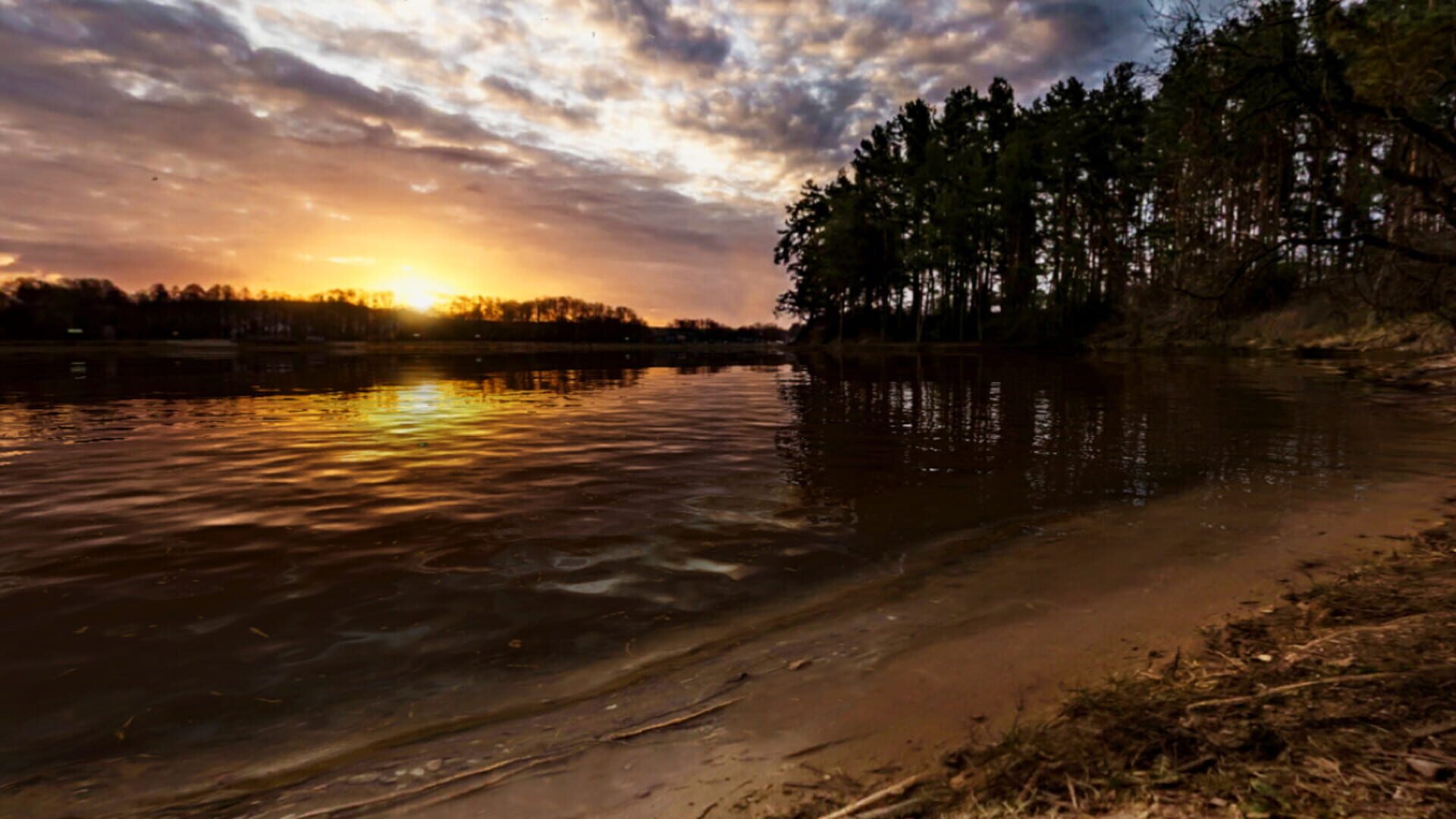 AnglingTimes - Screenshot